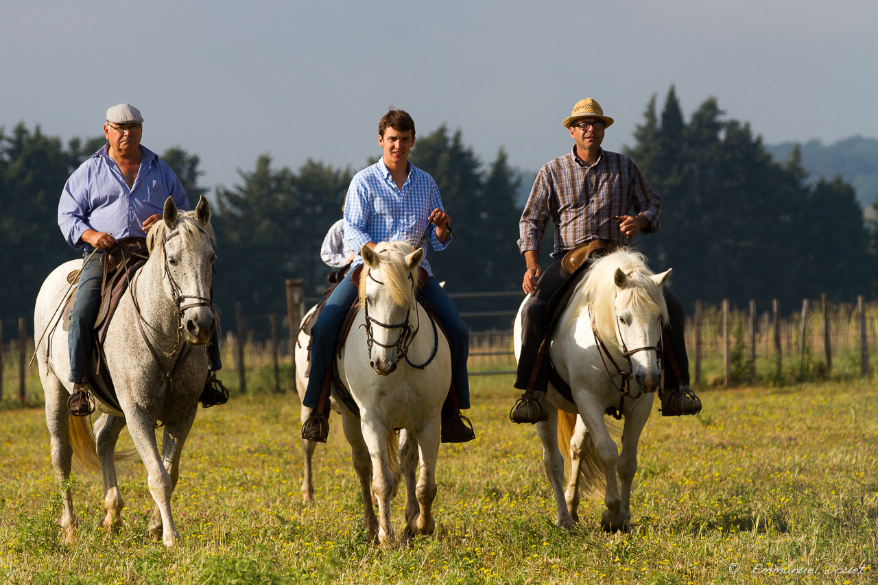 2013 06 Carmargue 544