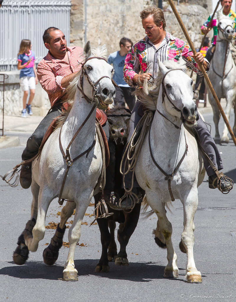 2013 06 Carmargue 635