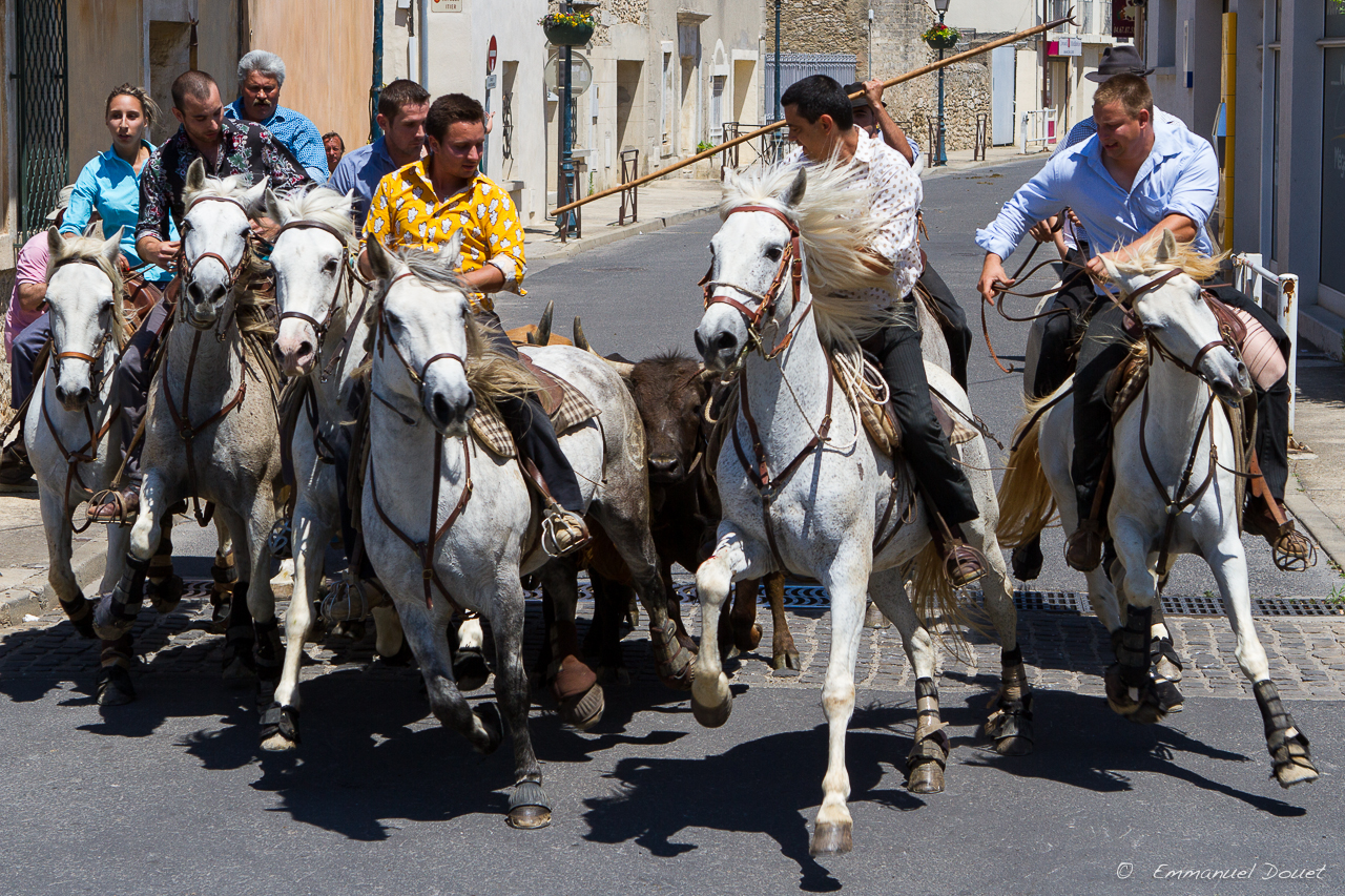 2013 06 Carmargue 676