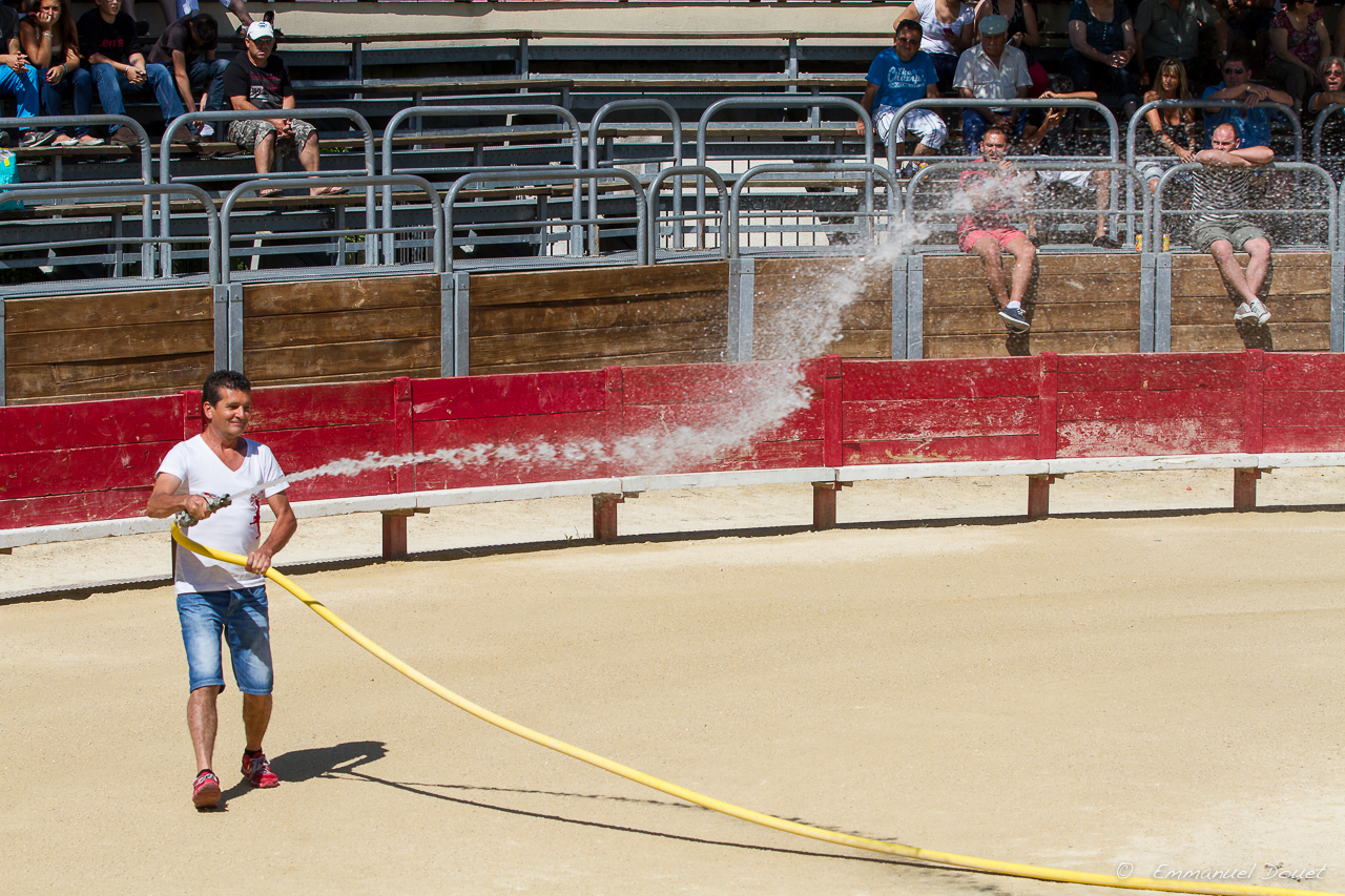 2013 06 Carmargue 685