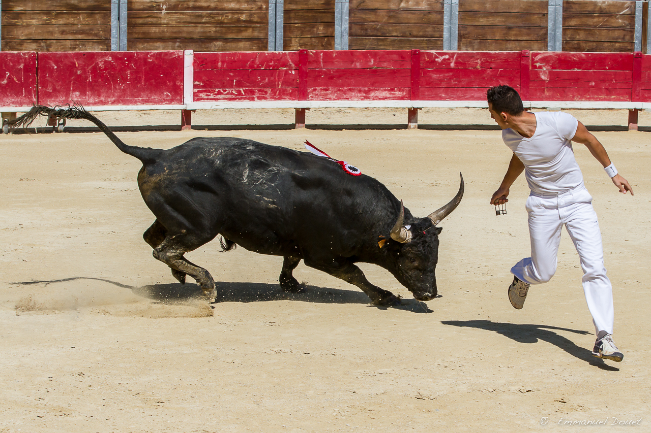 2013 06 Carmargue 712