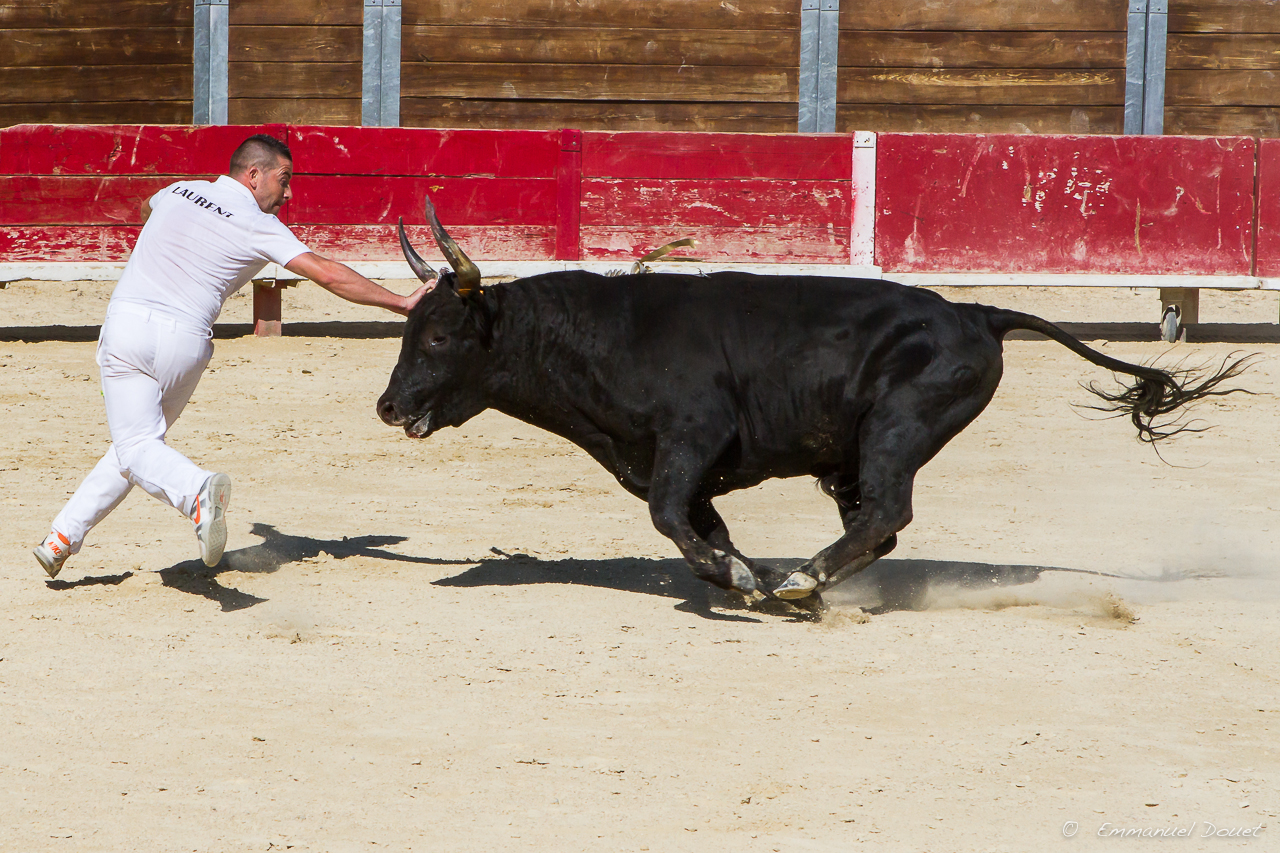 2013 06 Carmargue 771