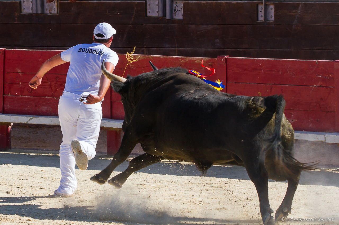 2013 06 Carmargue 832