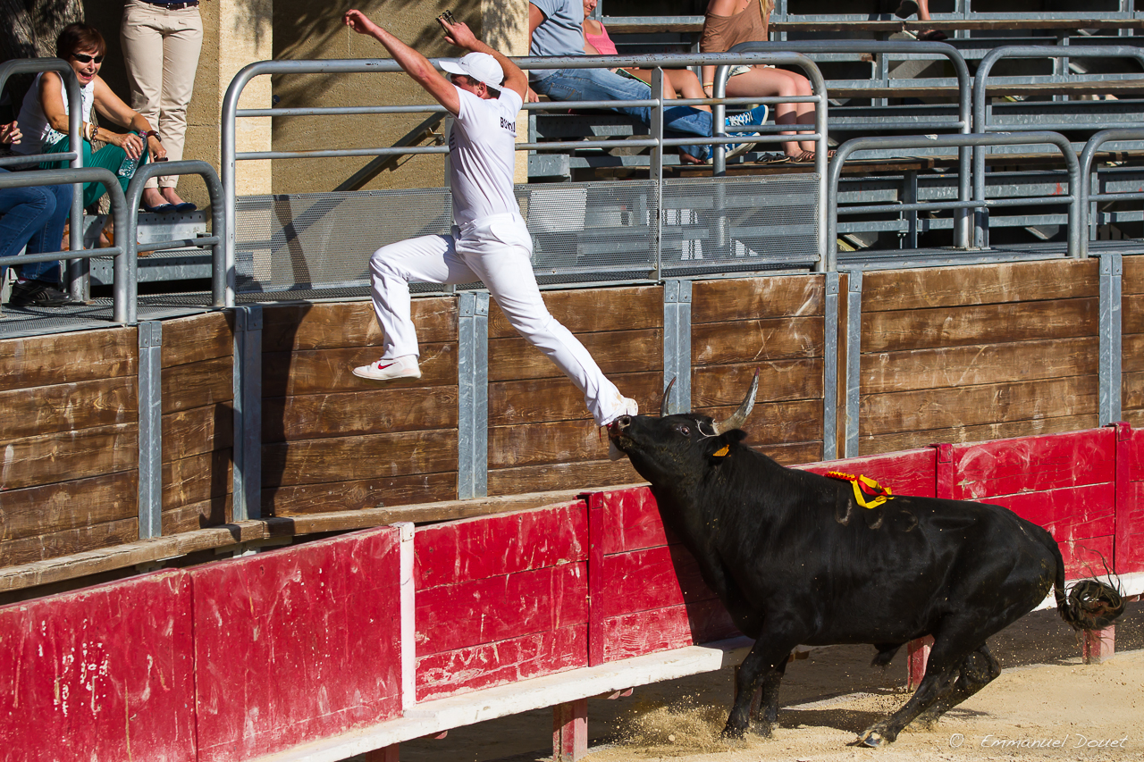 2013 06 Carmargue 860