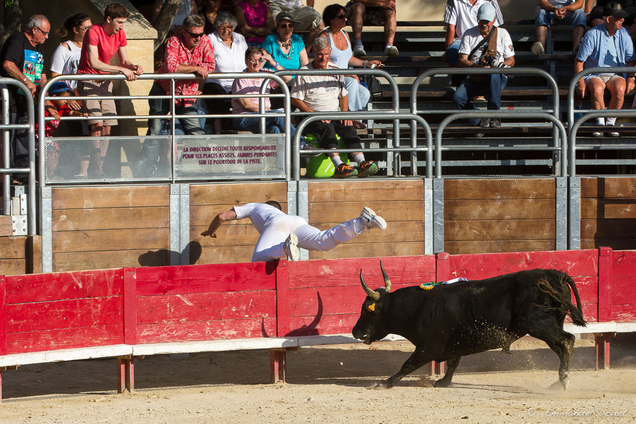 2013 06 Carmargue 960