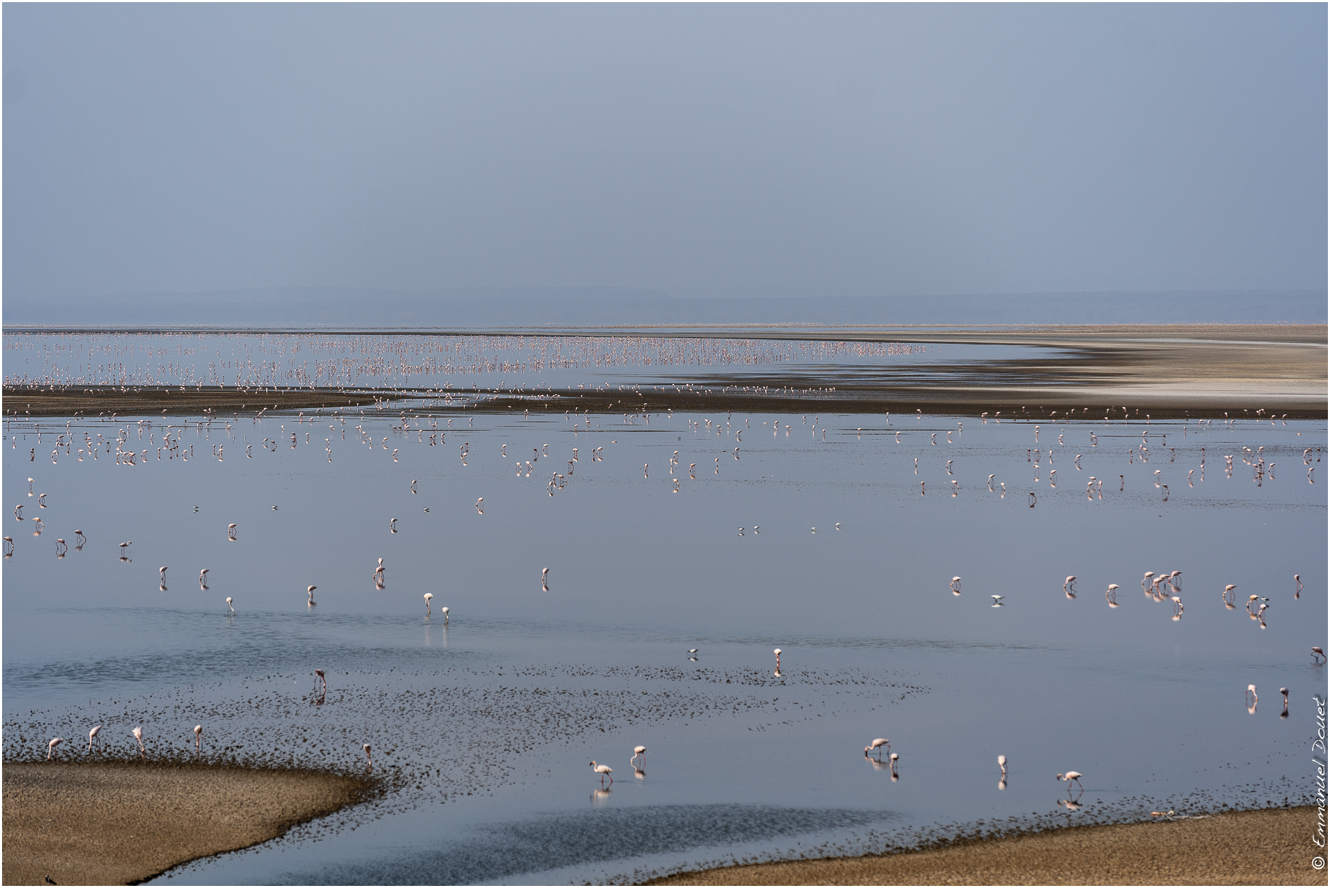 2022 07 Tanzanie 108