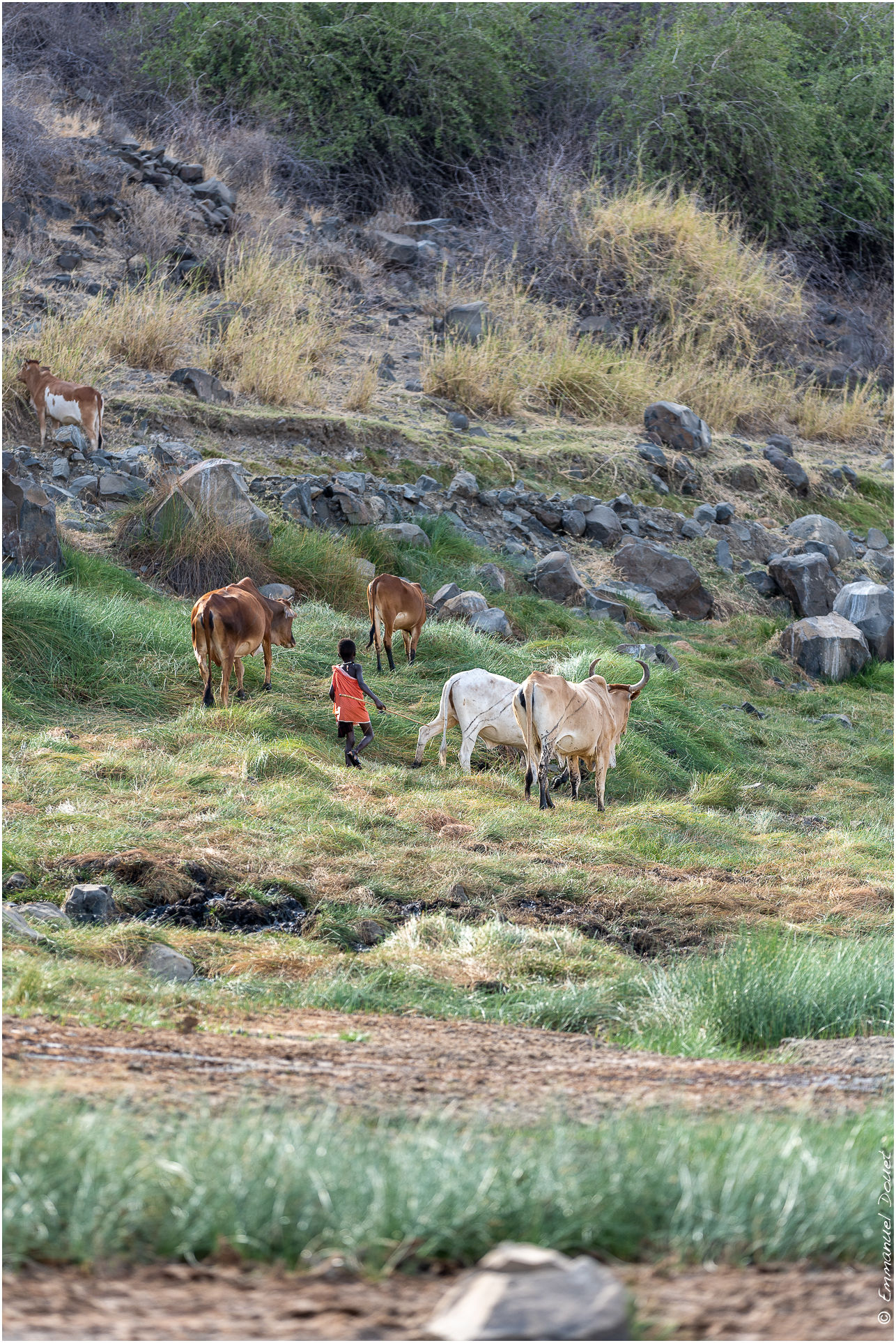 2022 07 Tanzanie 113