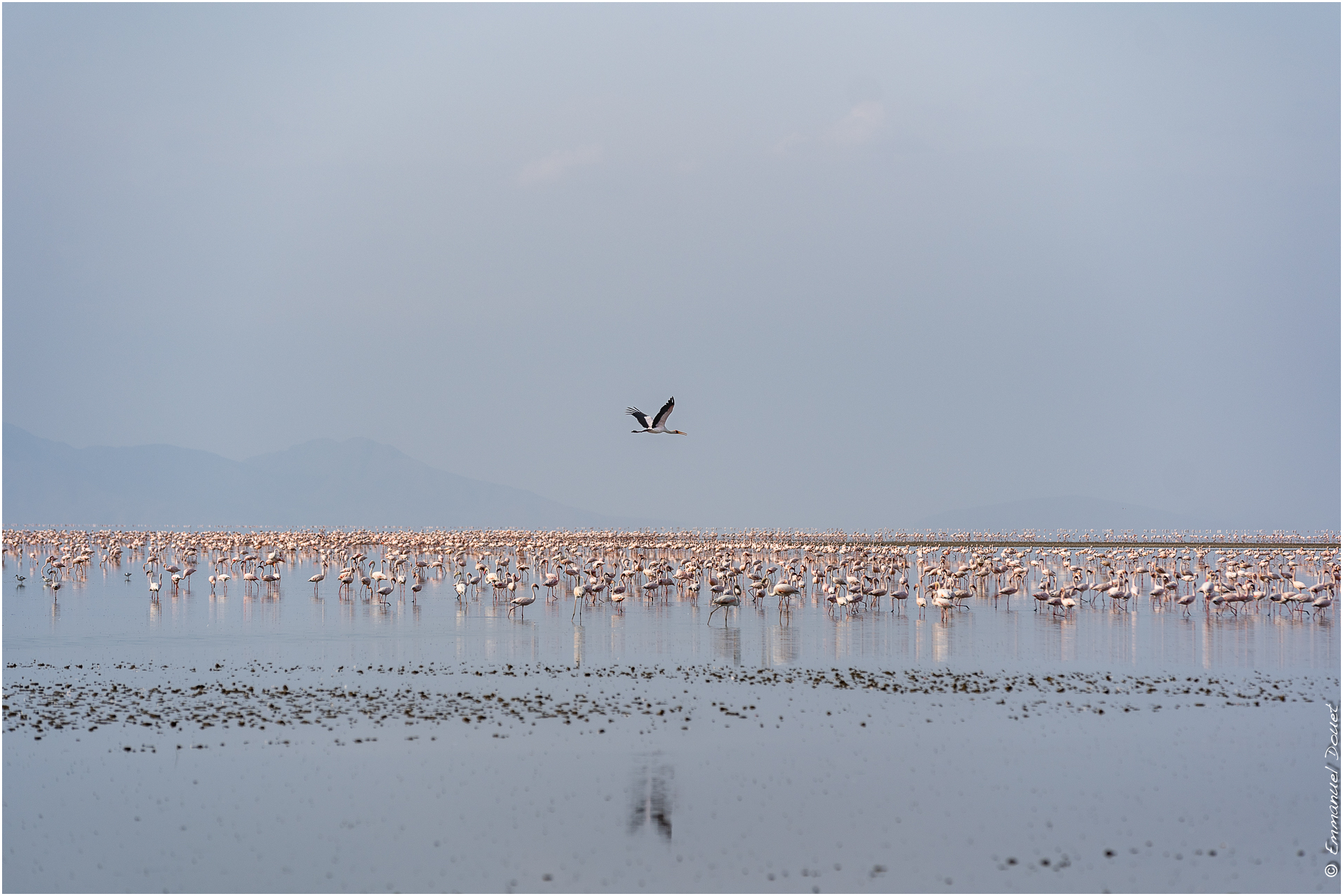 2022 07 Tanzanie 114