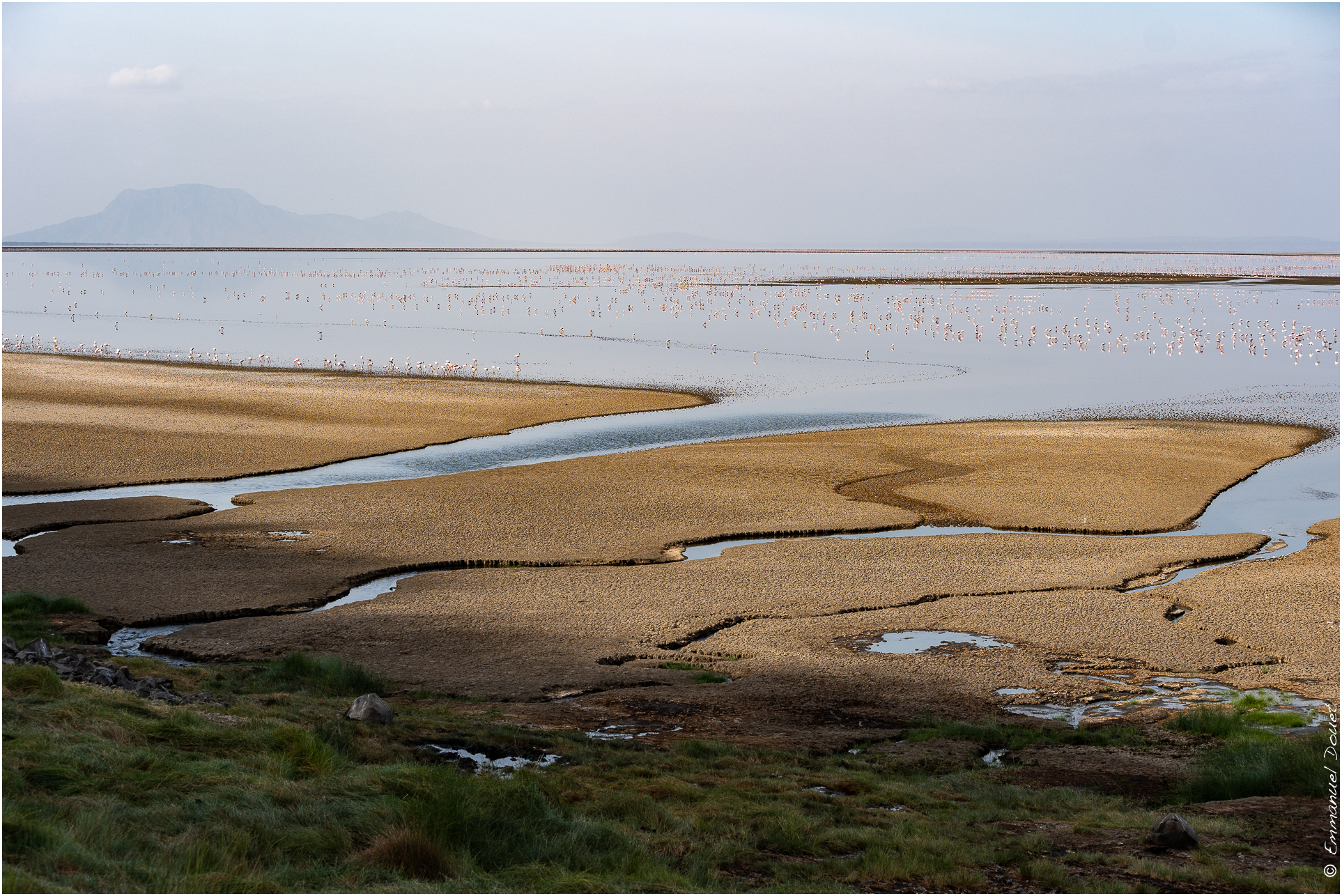 2022 07 Tanzanie 118