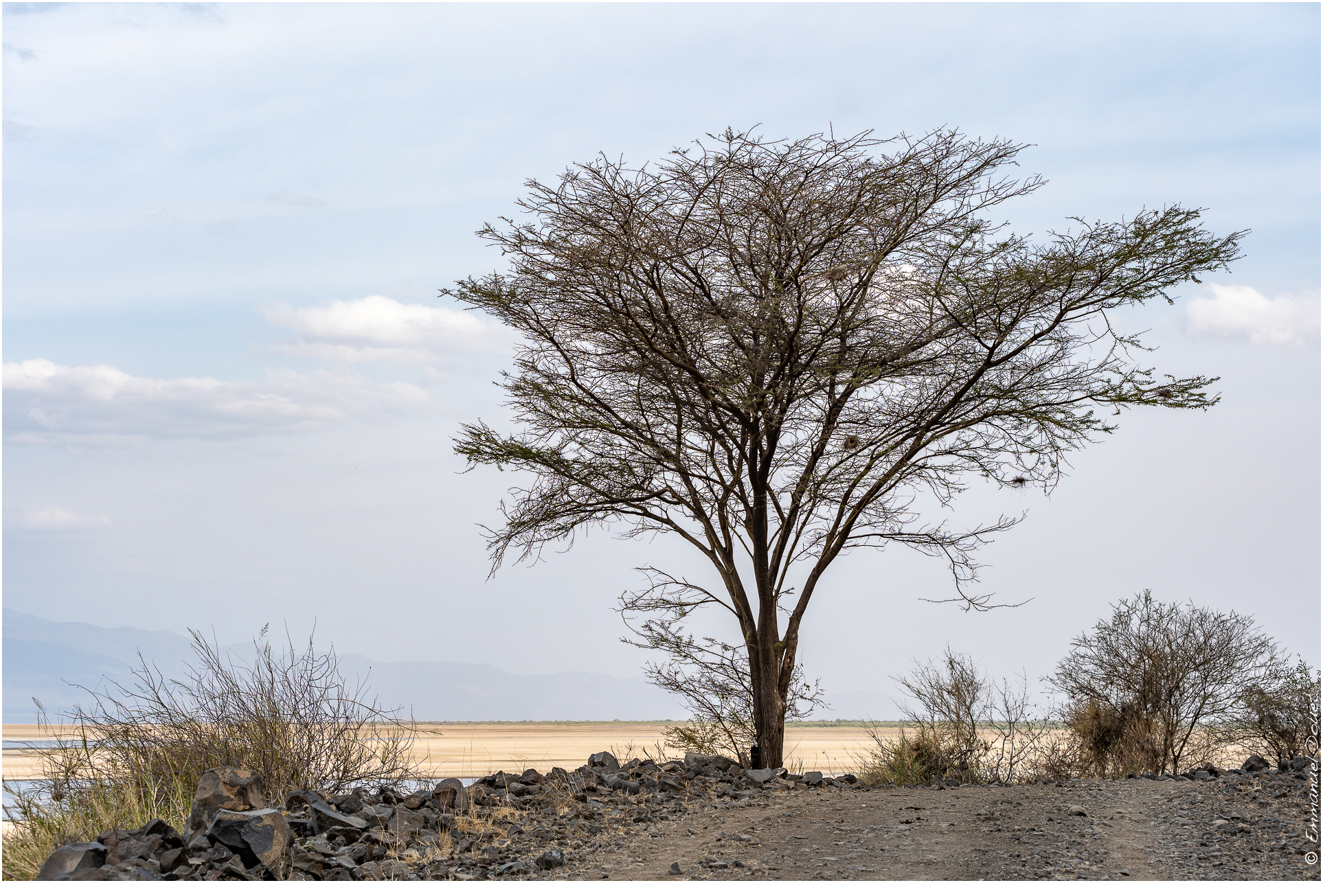 2022 07 Tanzanie 120