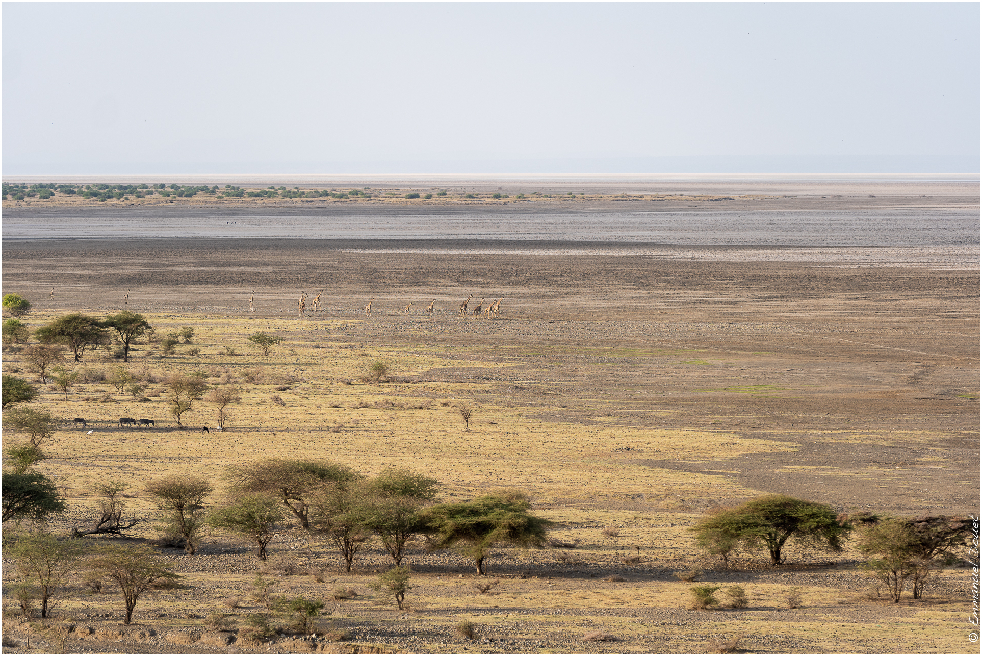 2022 07 Tanzanie 134