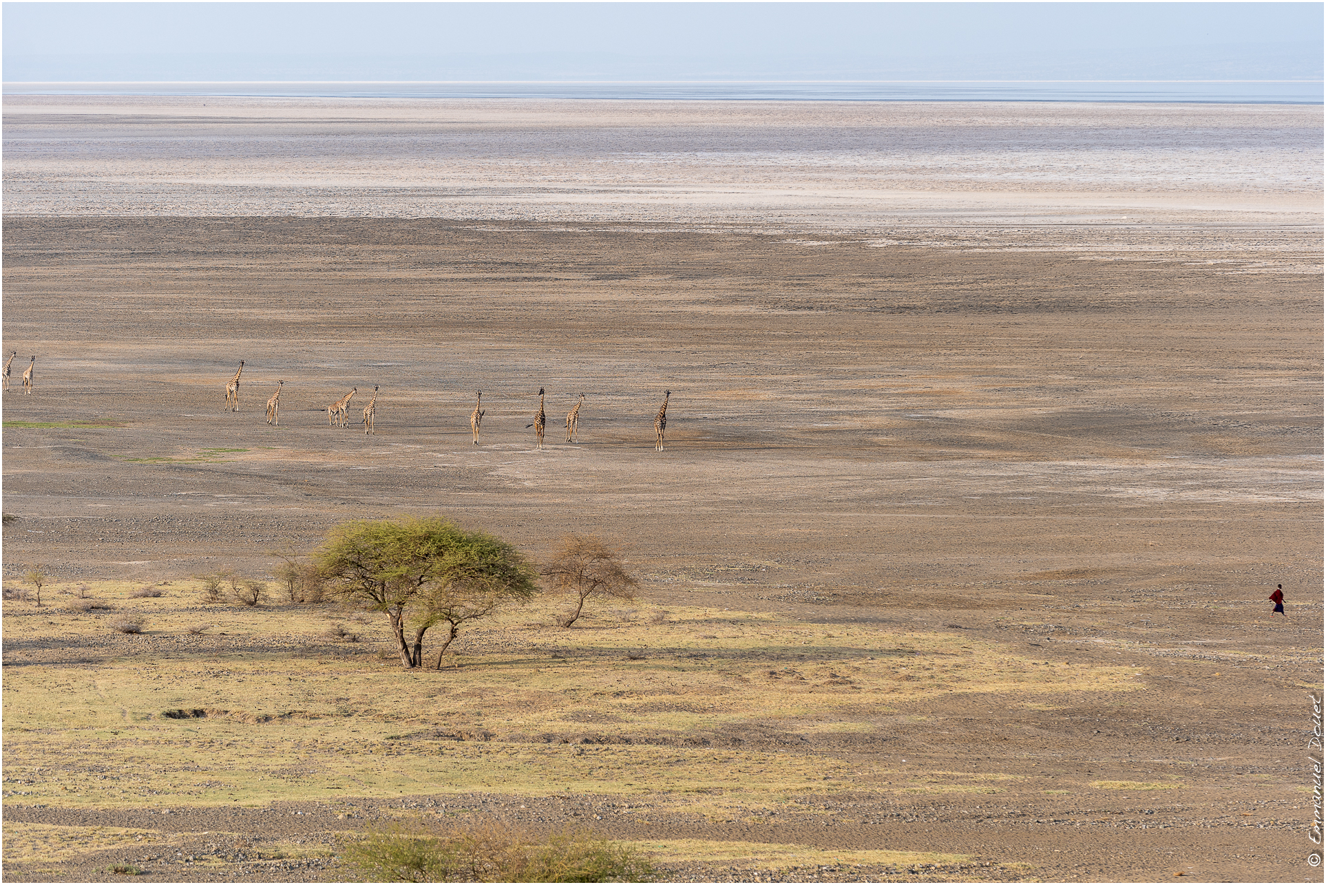 2022 07 Tanzanie 135