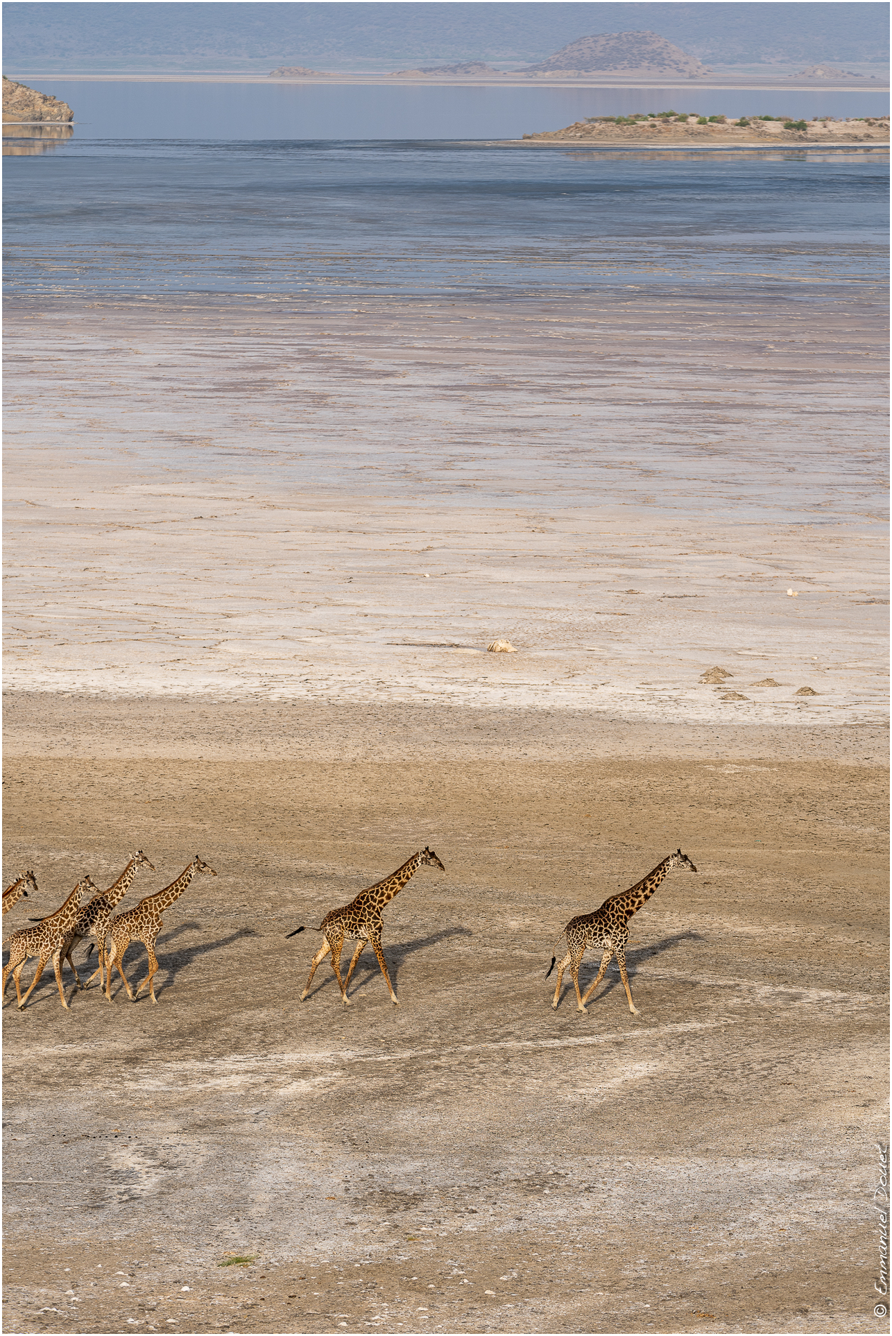 2022 07 Tanzanie 137