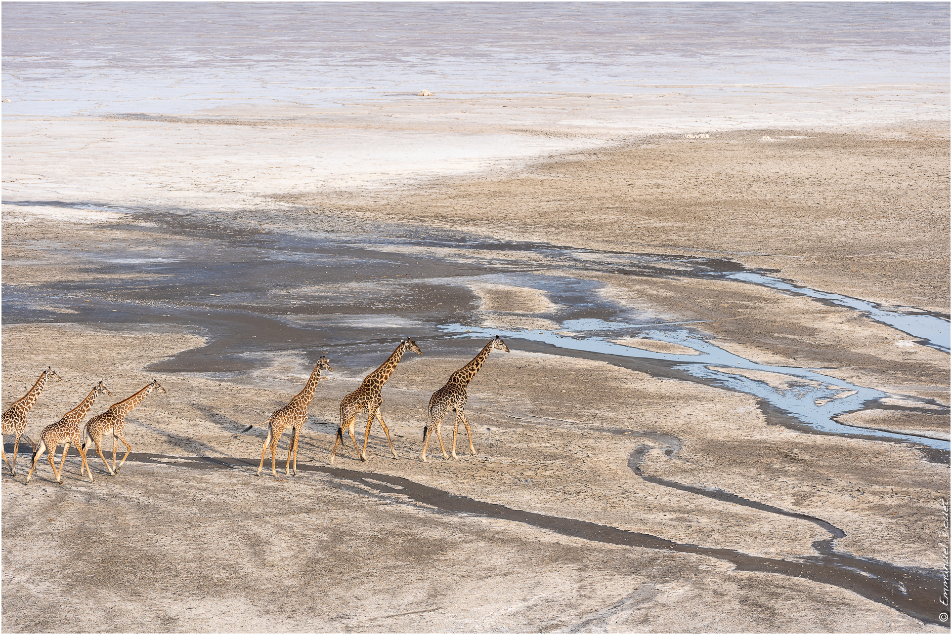 2022 07 Tanzanie 142