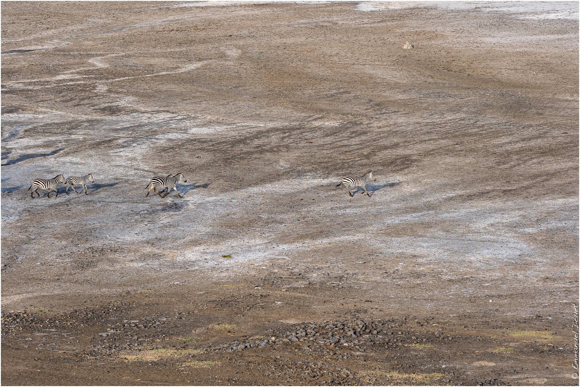 2022 07 Tanzanie 145