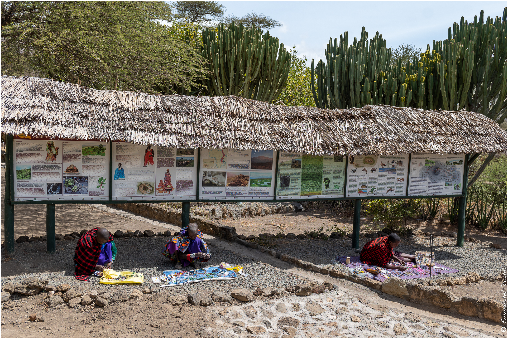 2022 07 Tanzanie 15