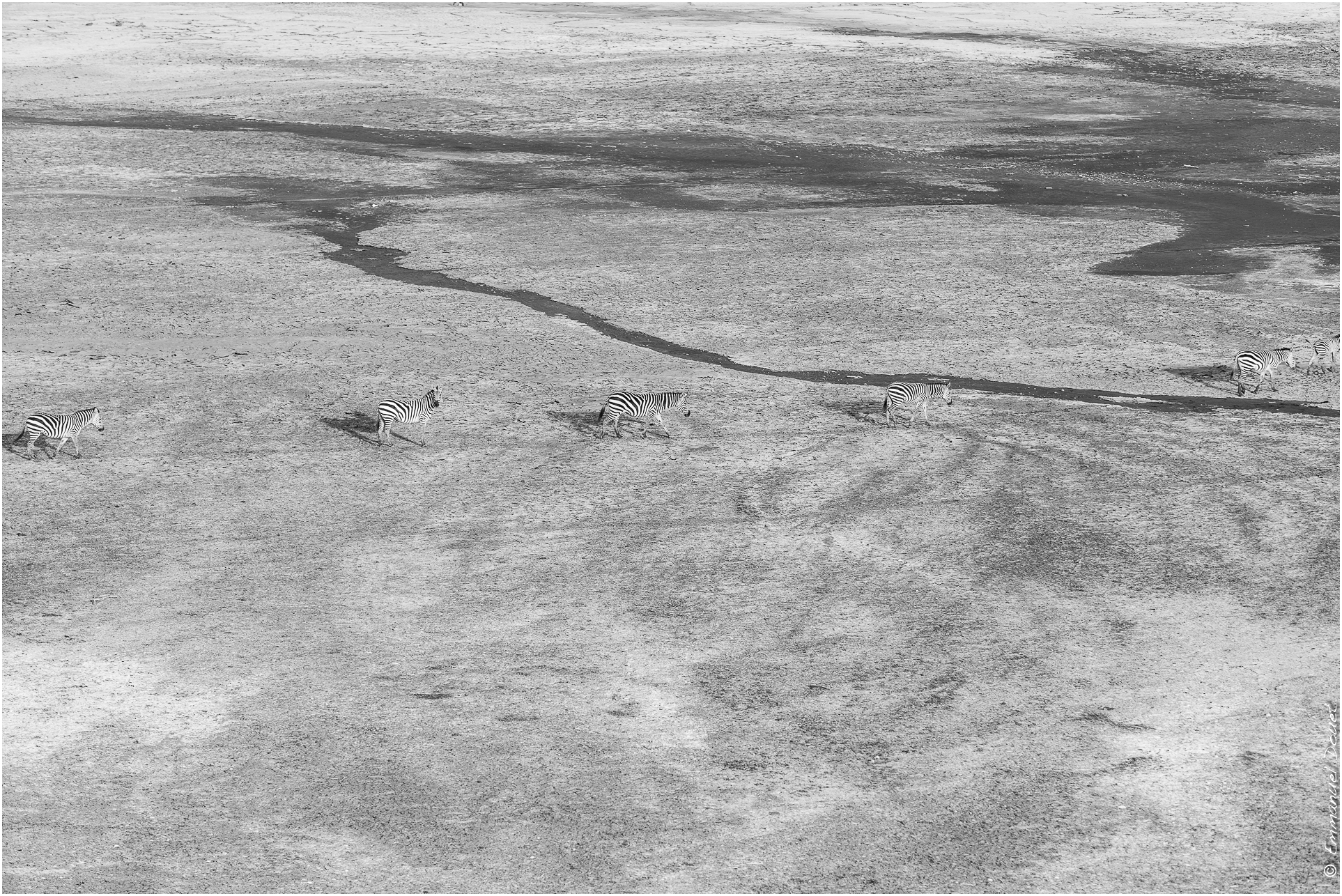 2022 07 Tanzanie 152