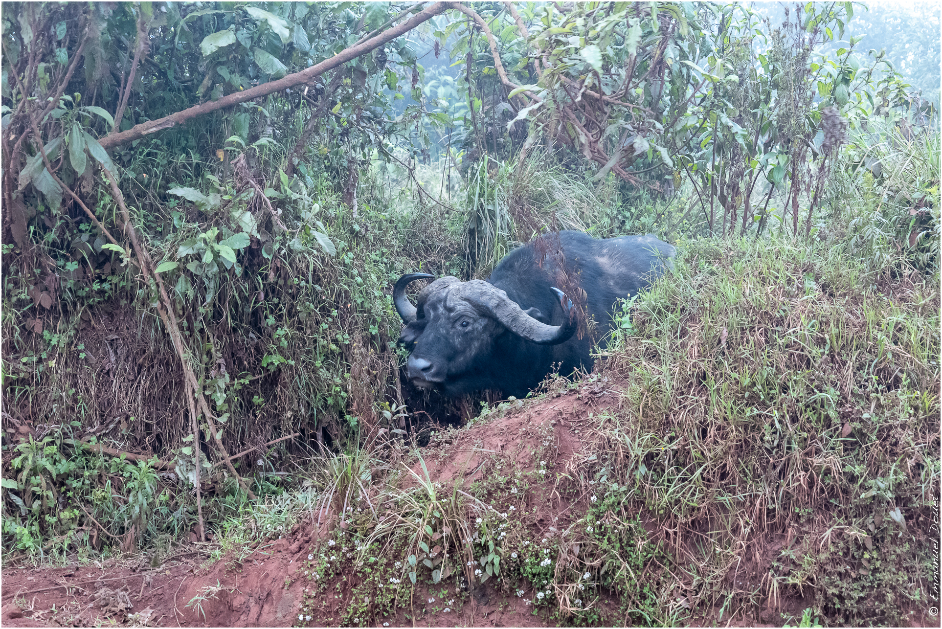 2022 07 Tanzanie 169