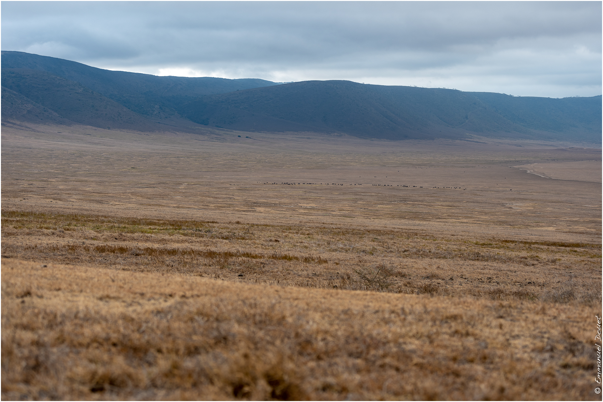 2022 07 Tanzanie 171