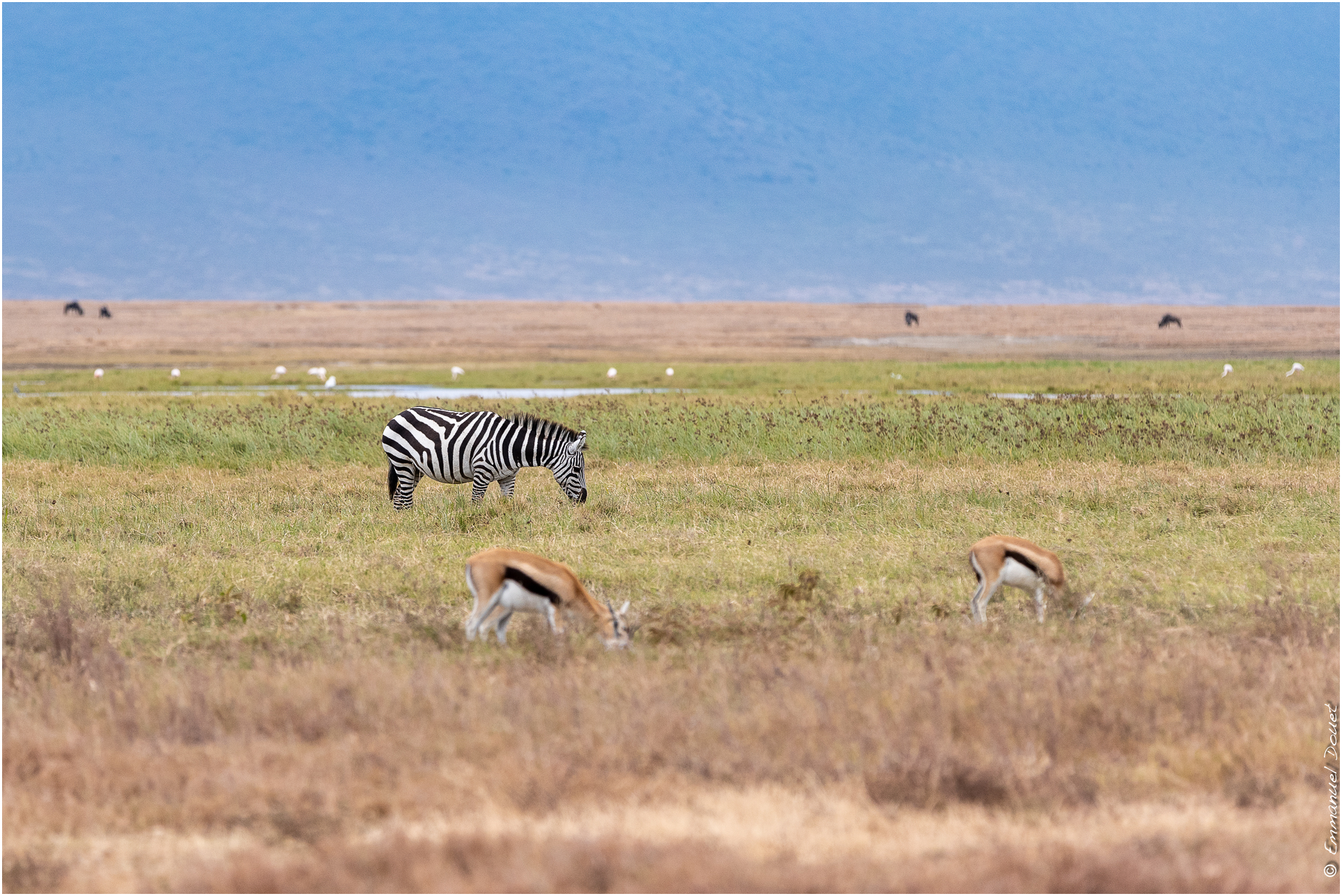 2022 07 Tanzanie 172