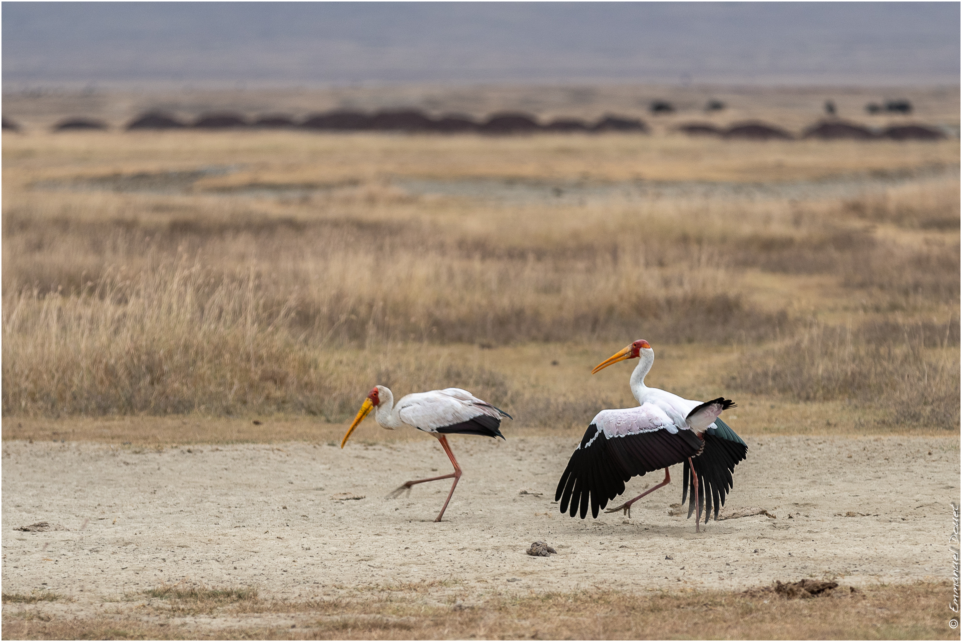 2022 07 Tanzanie 173