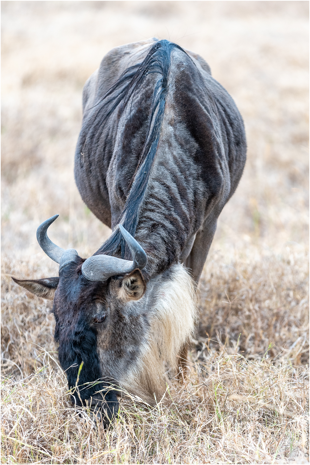 2022 07 Tanzanie 175