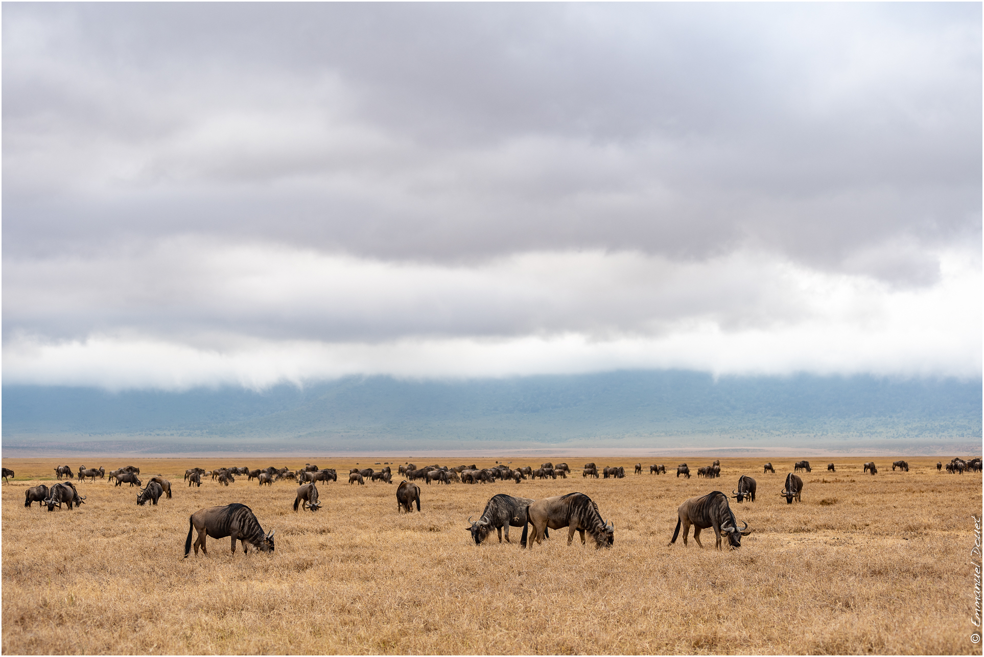 2022 07 Tanzanie 176