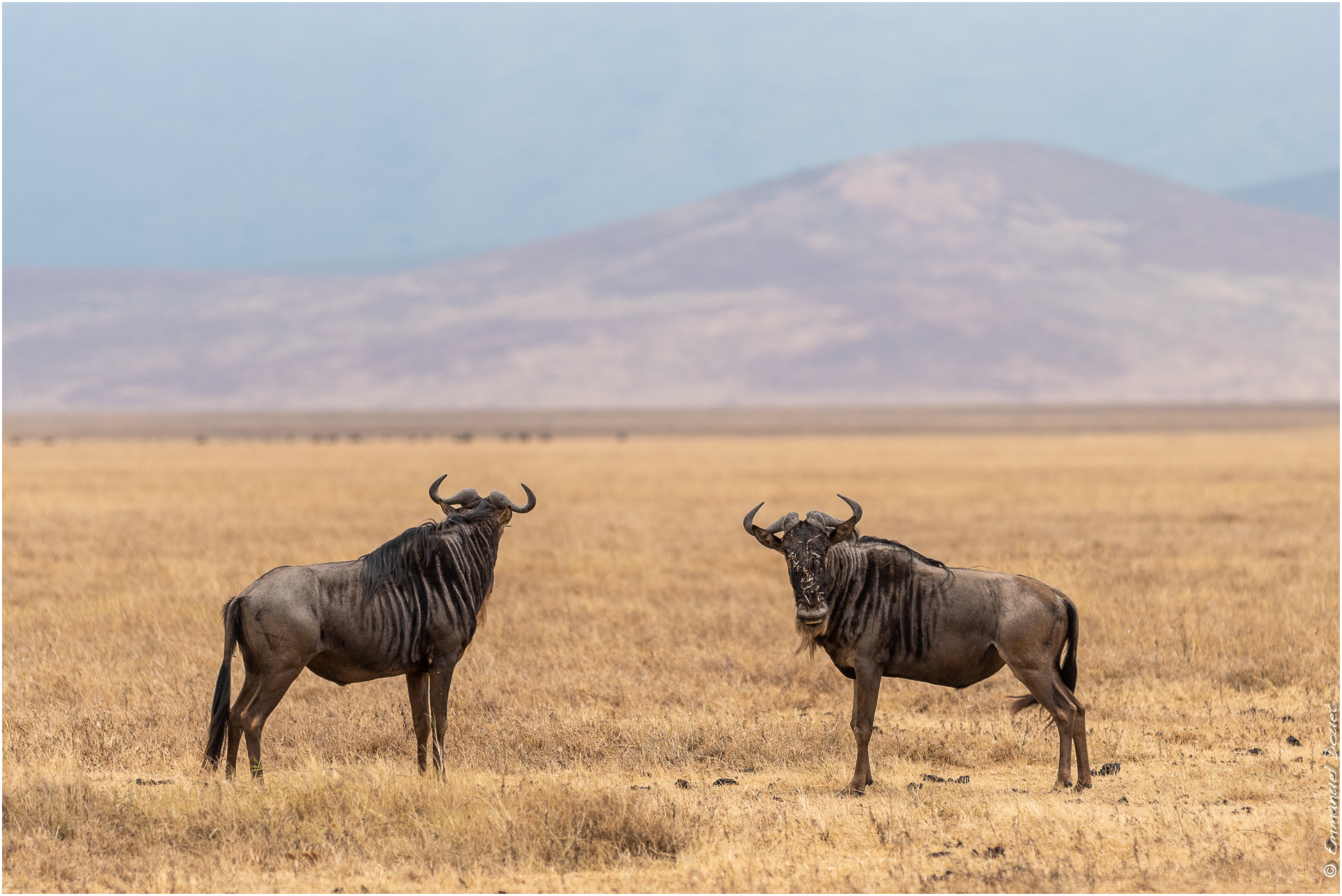 2022 07 Tanzanie 177