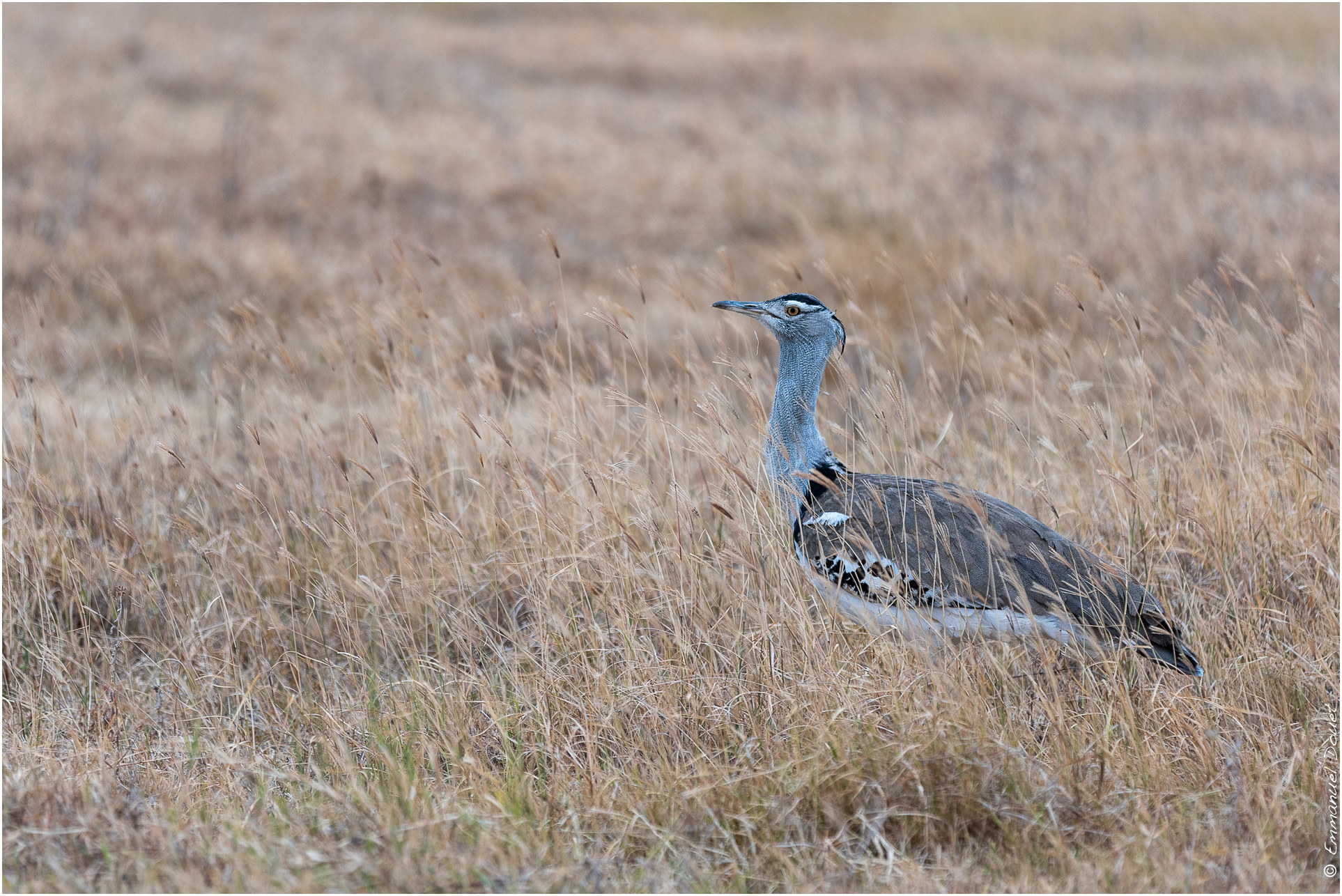 2022 07 Tanzanie 178