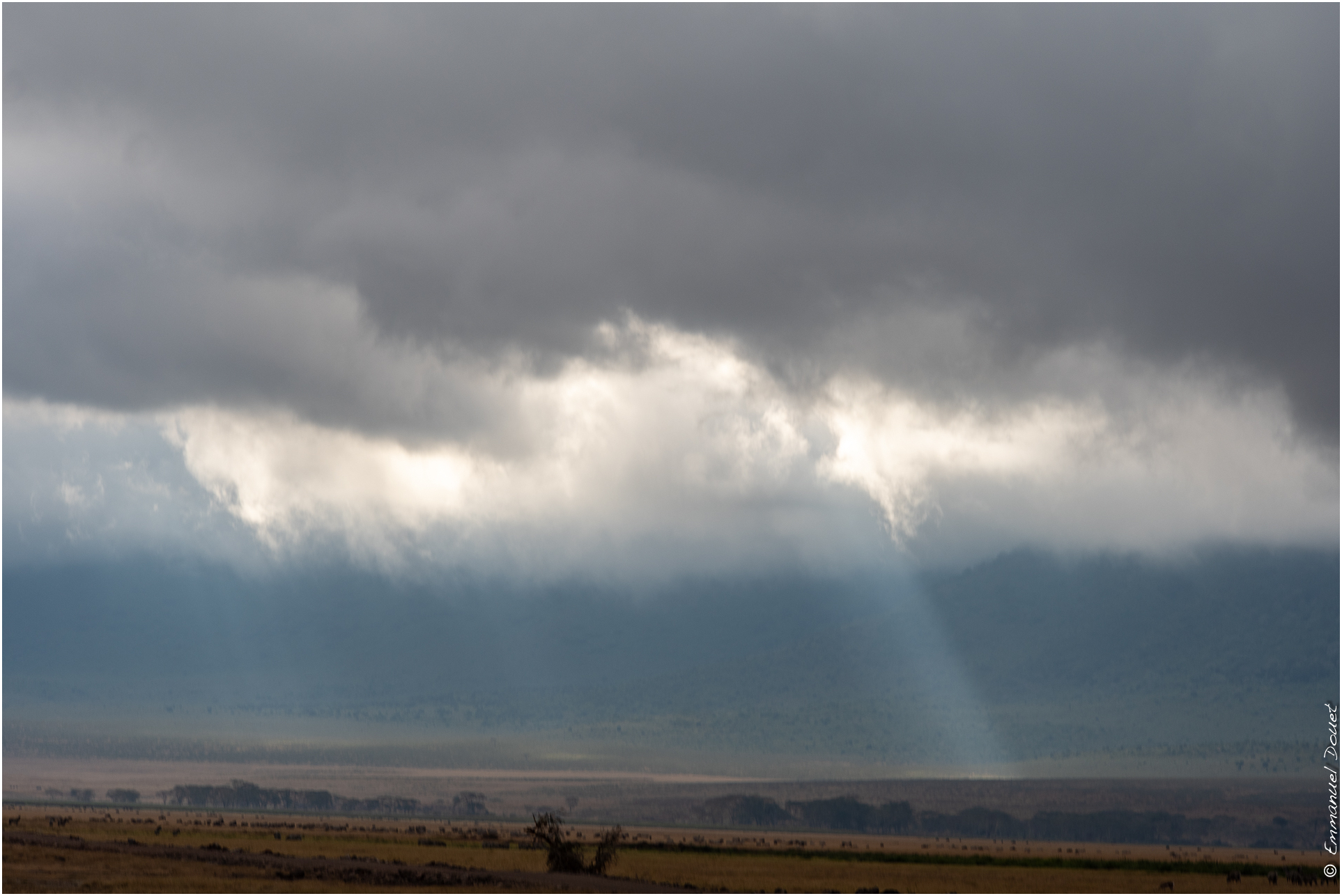 2022 07 Tanzanie 183