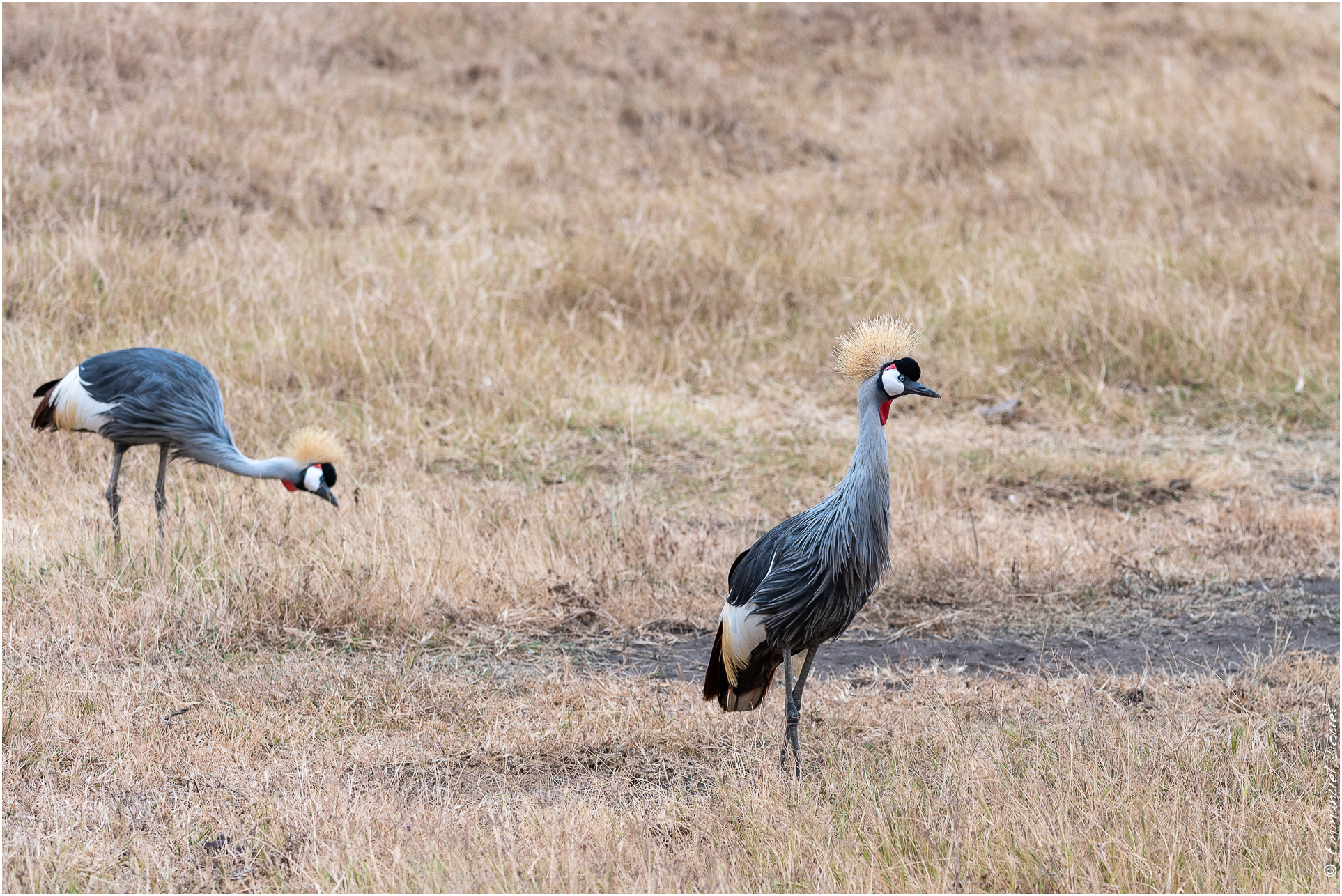 2022 07 Tanzanie 187