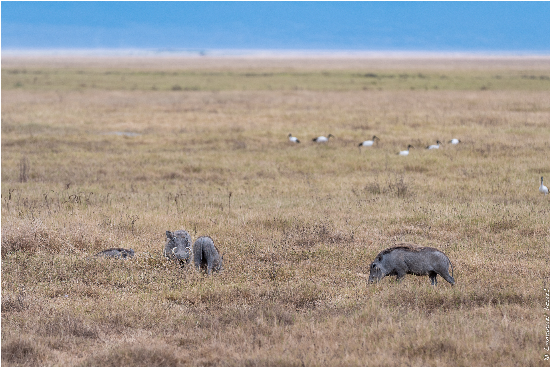 2022 07 Tanzanie 188