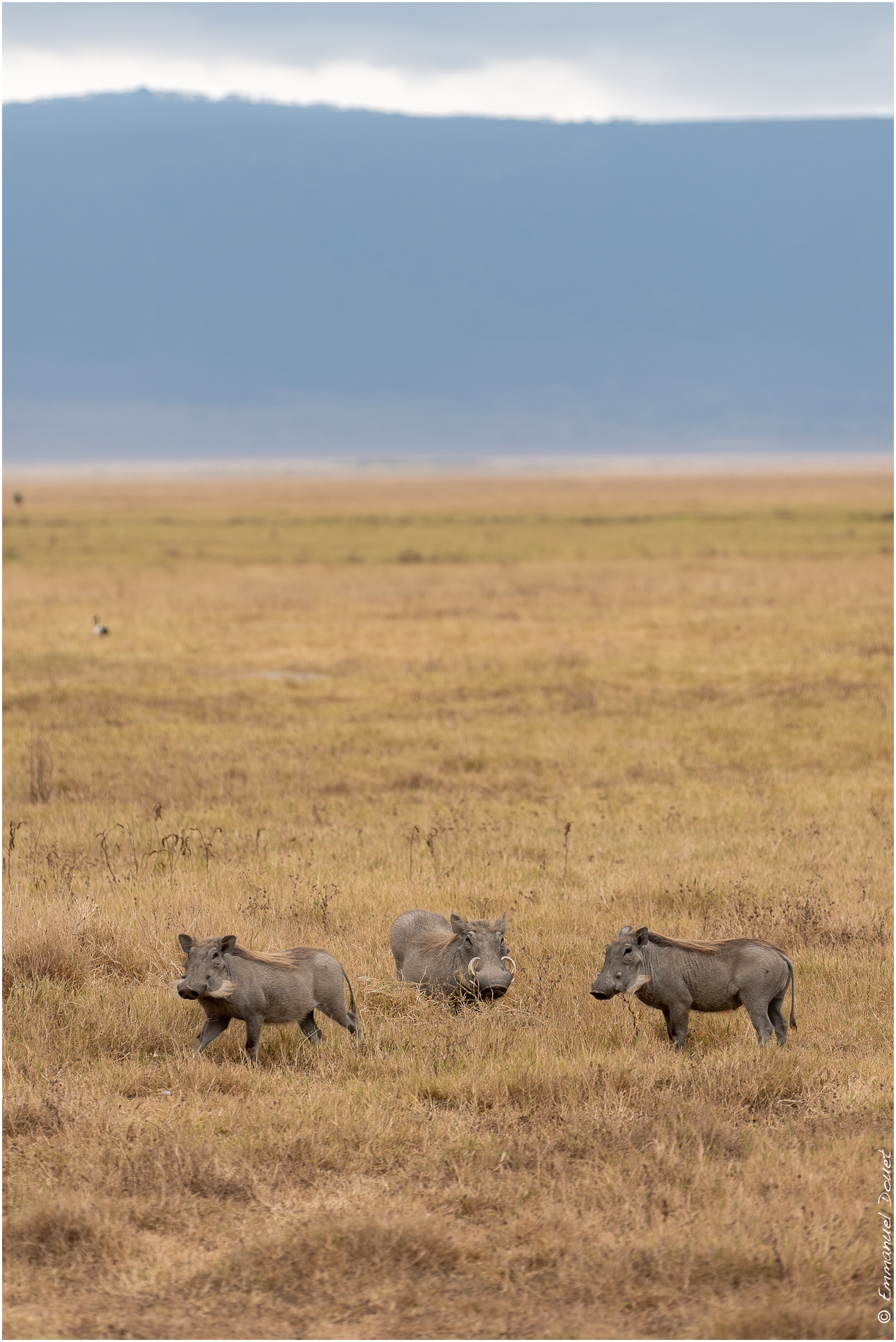 2022 07 Tanzanie 189