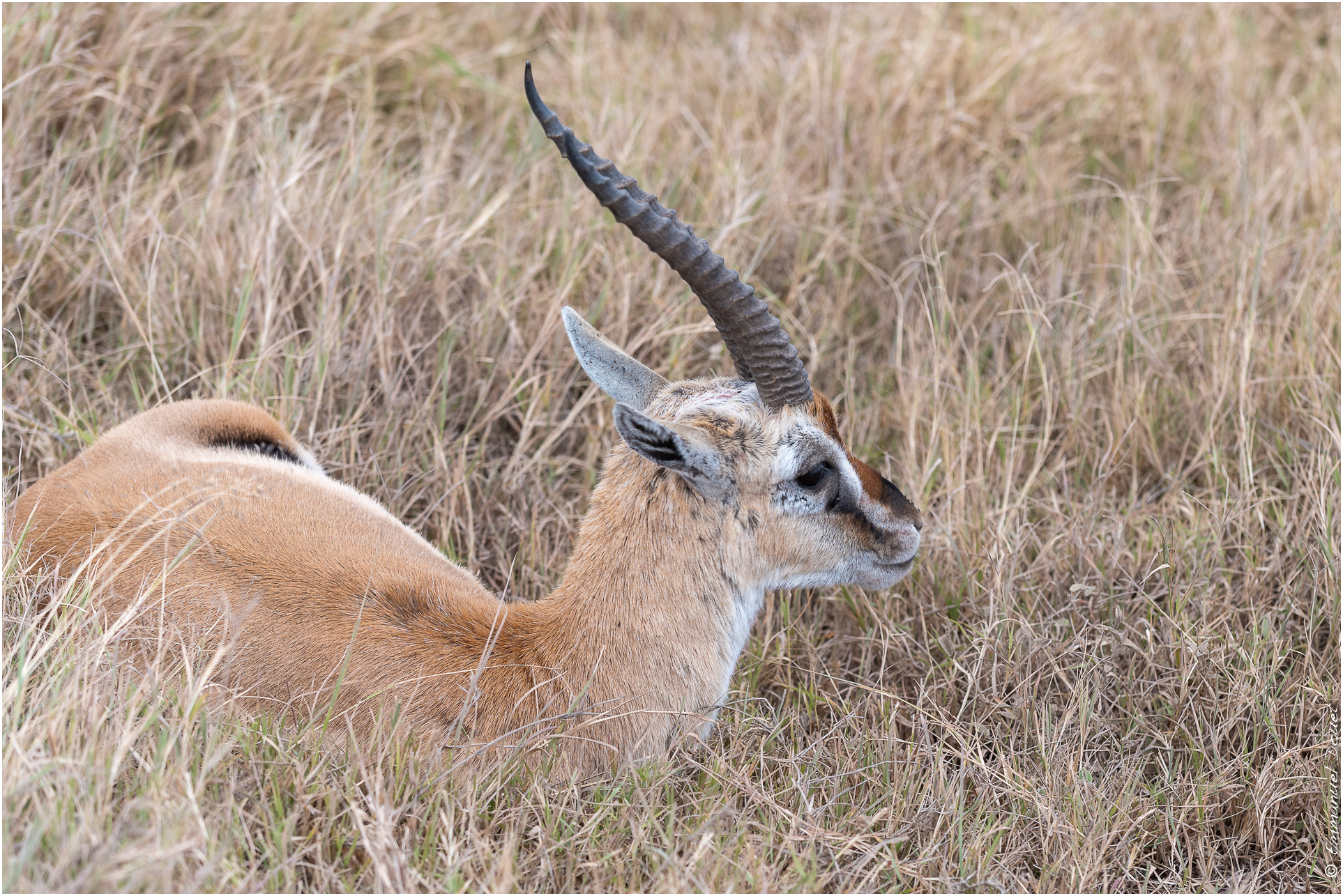 2022 07 Tanzanie 190