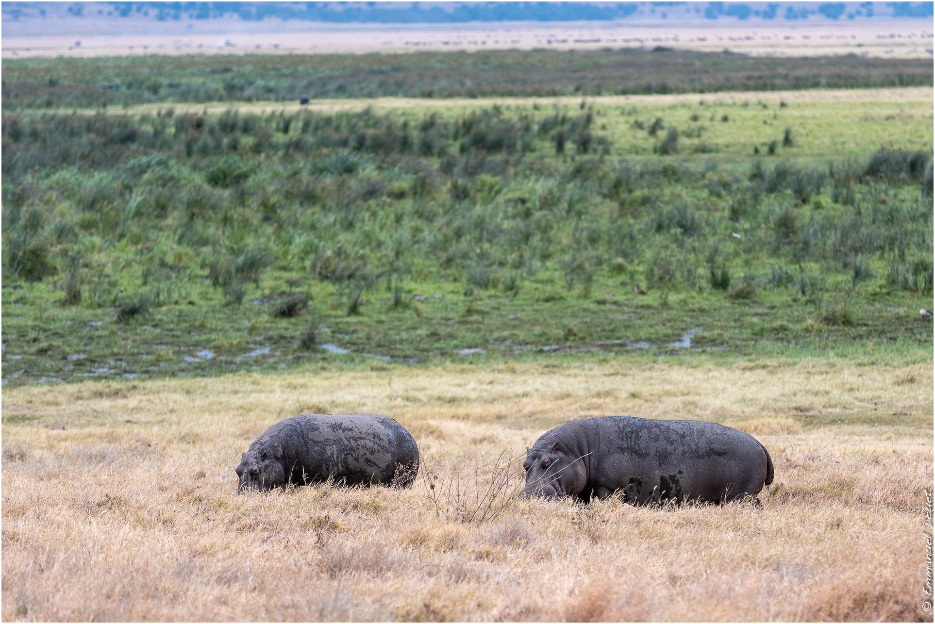 2022 07 Tanzanie 191