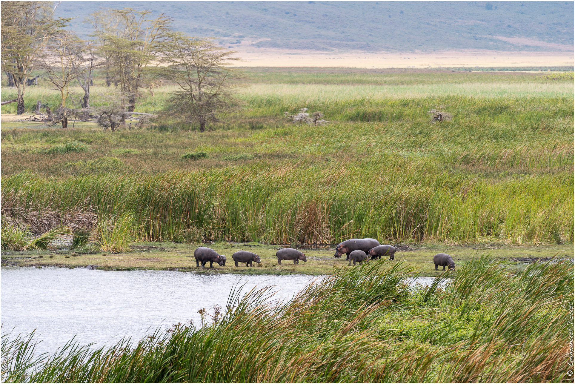 2022 07 Tanzanie 192