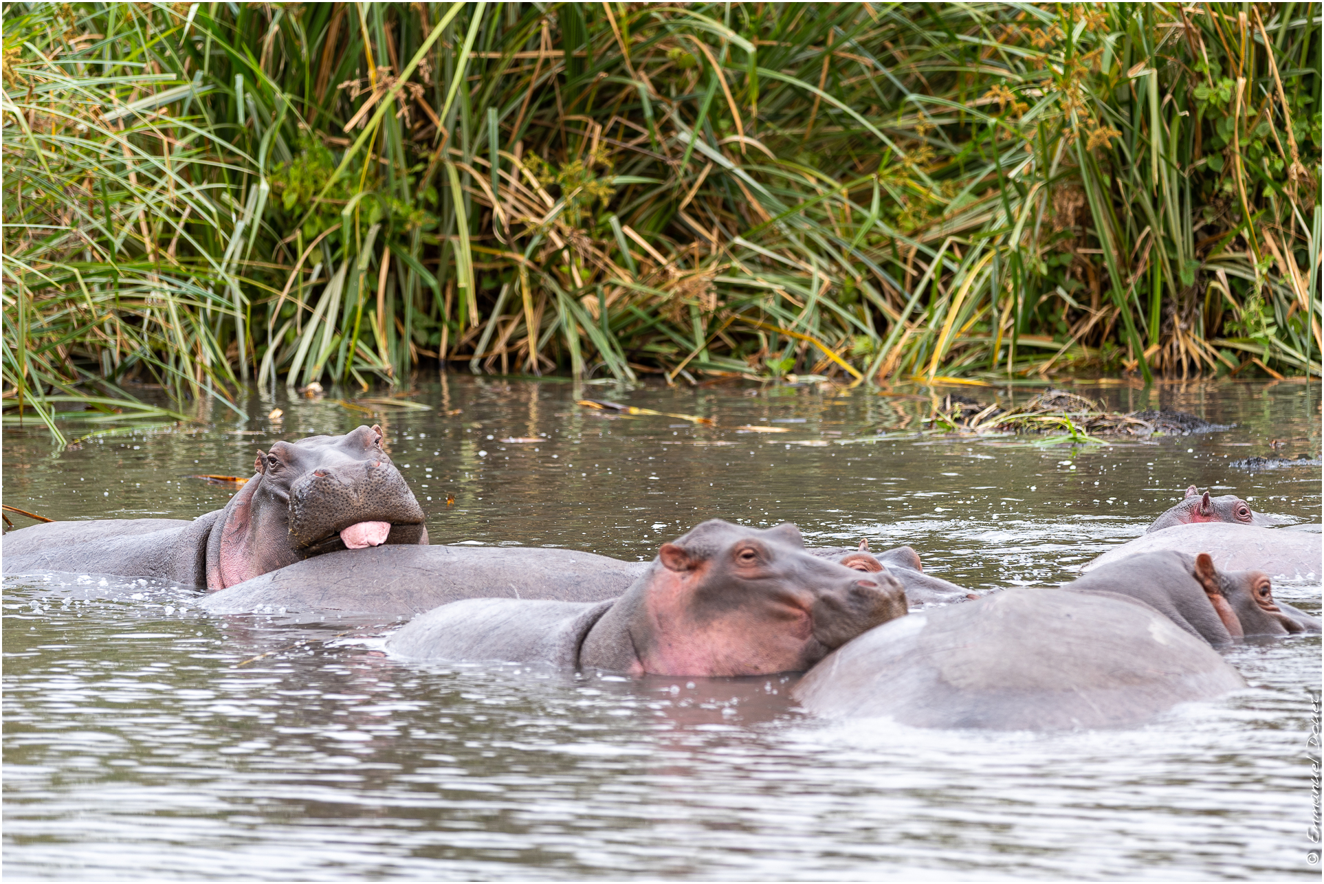 2022 07 Tanzanie 195