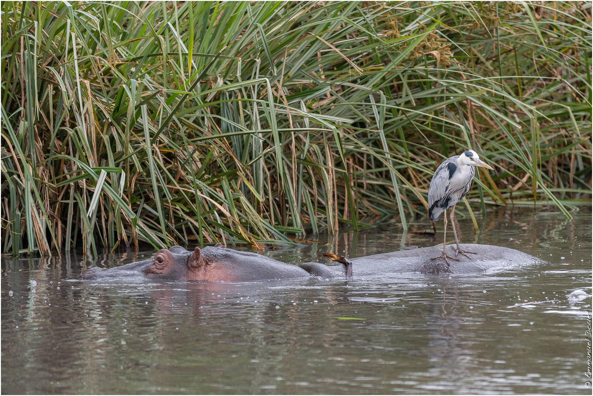 2022 07 Tanzanie 196