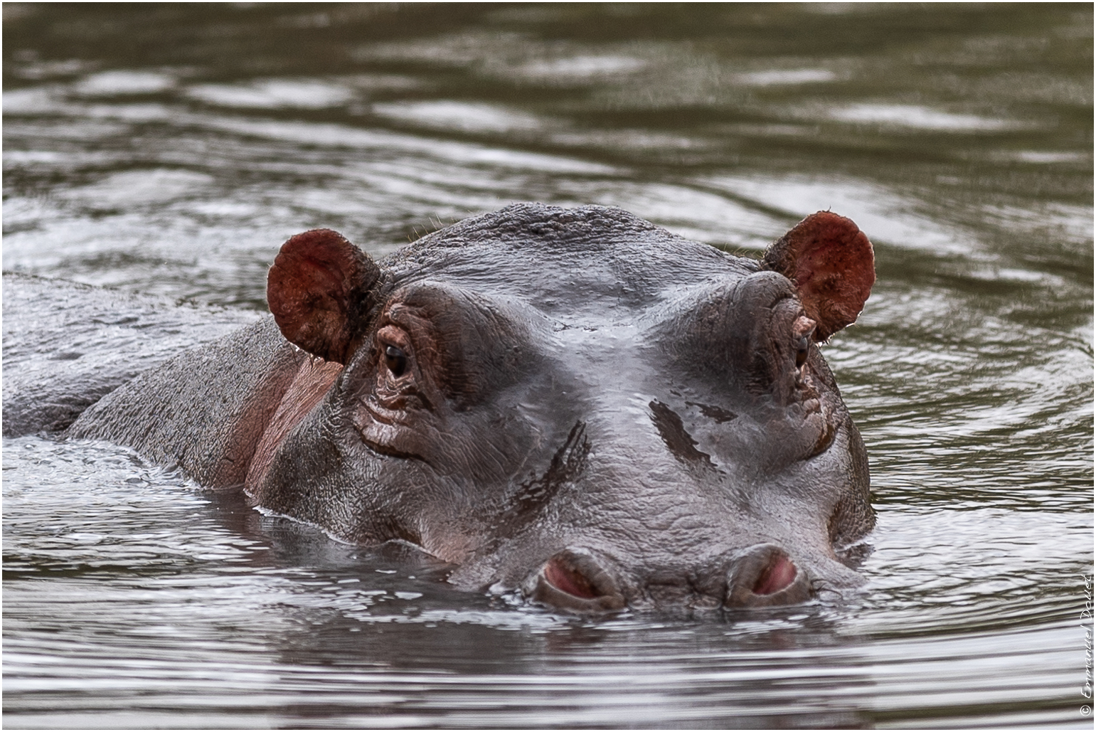 2022 07 Tanzanie 198