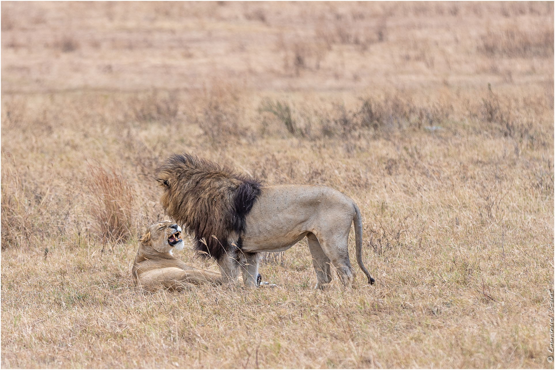 2022 07 Tanzanie 199