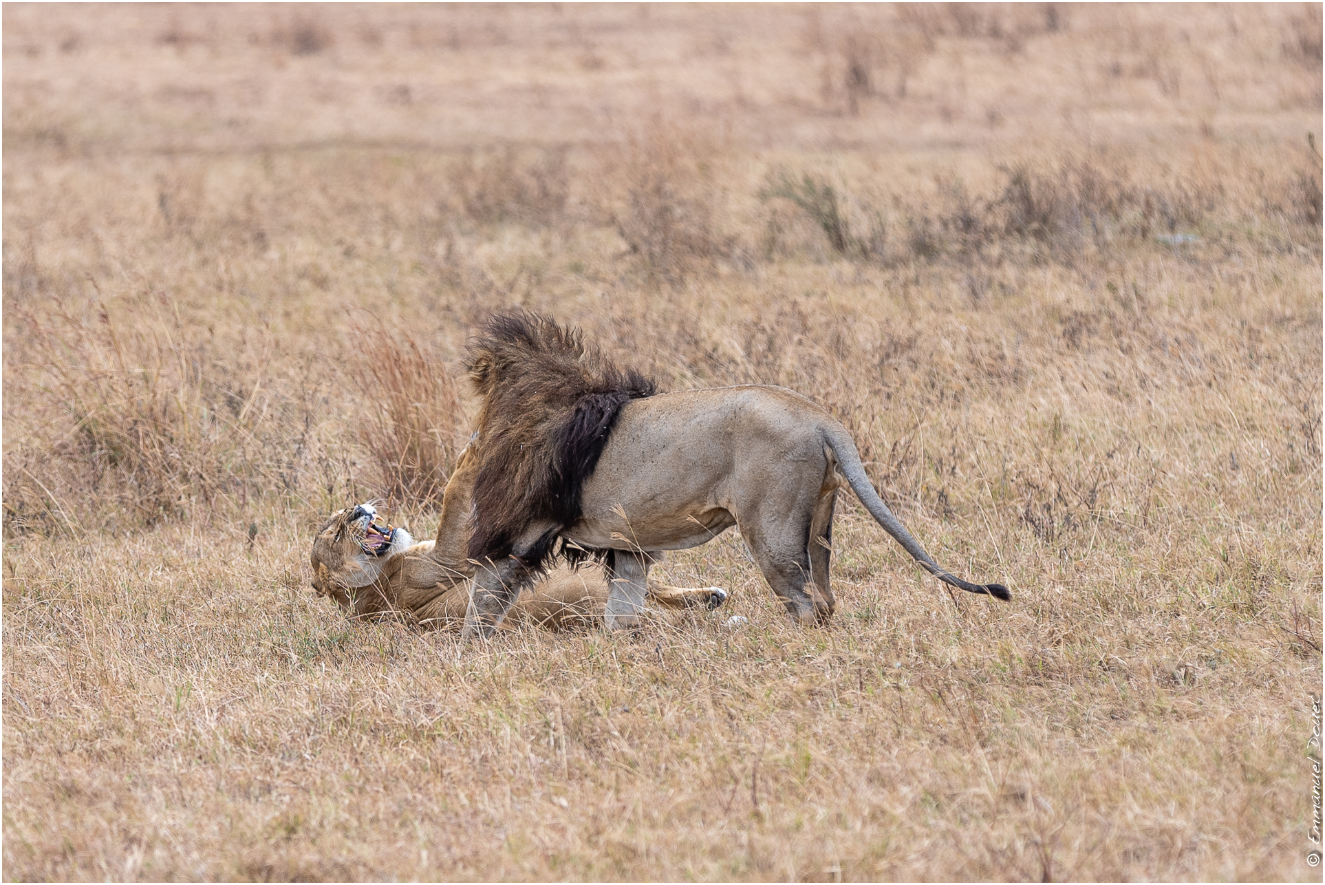2022 07 Tanzanie 200