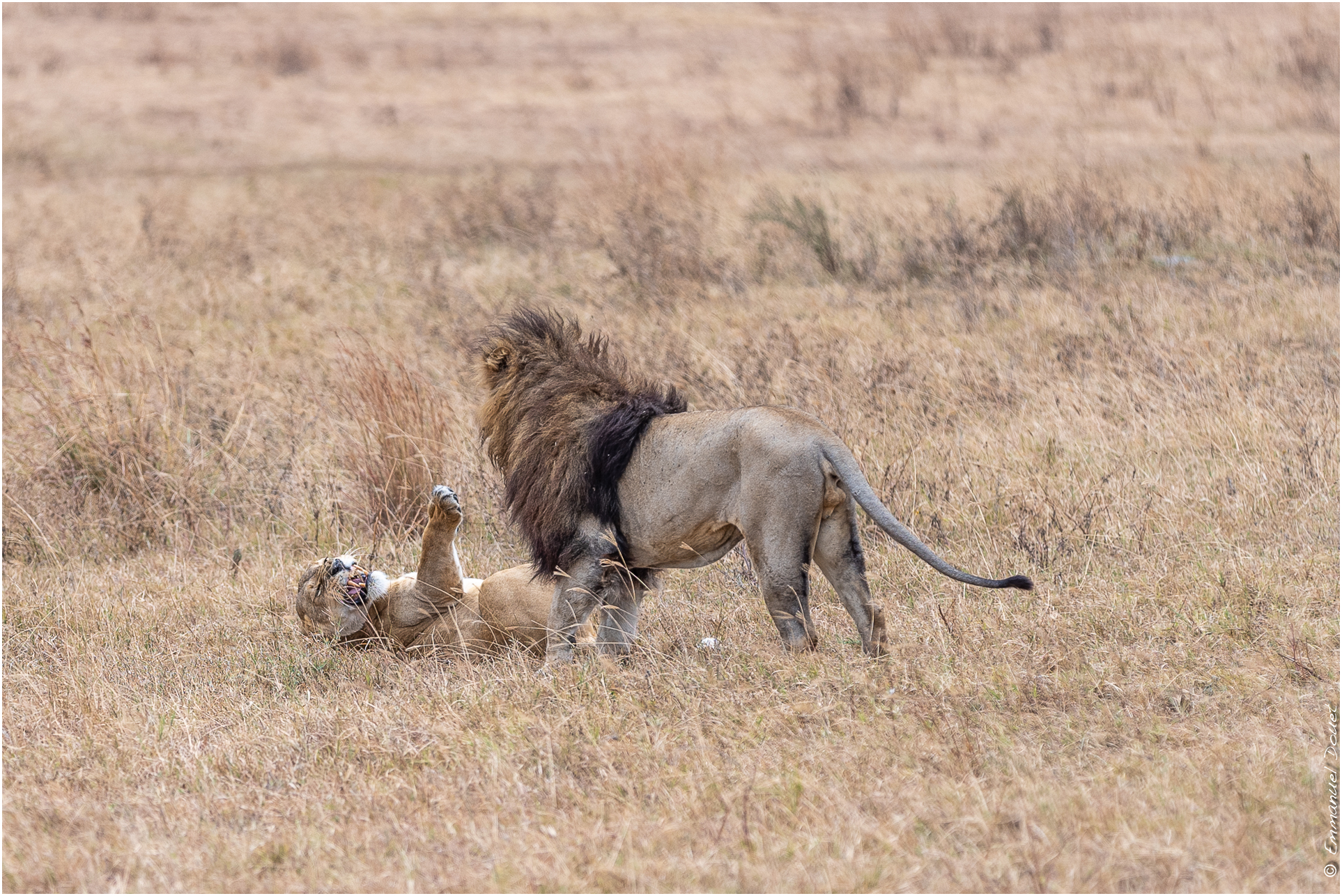 2022 07 Tanzanie 201