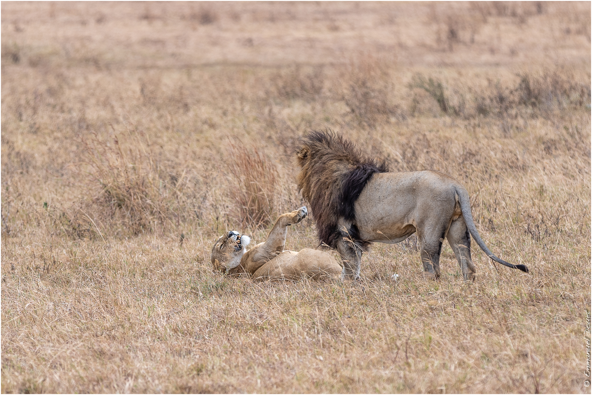 2022 07 Tanzanie 202