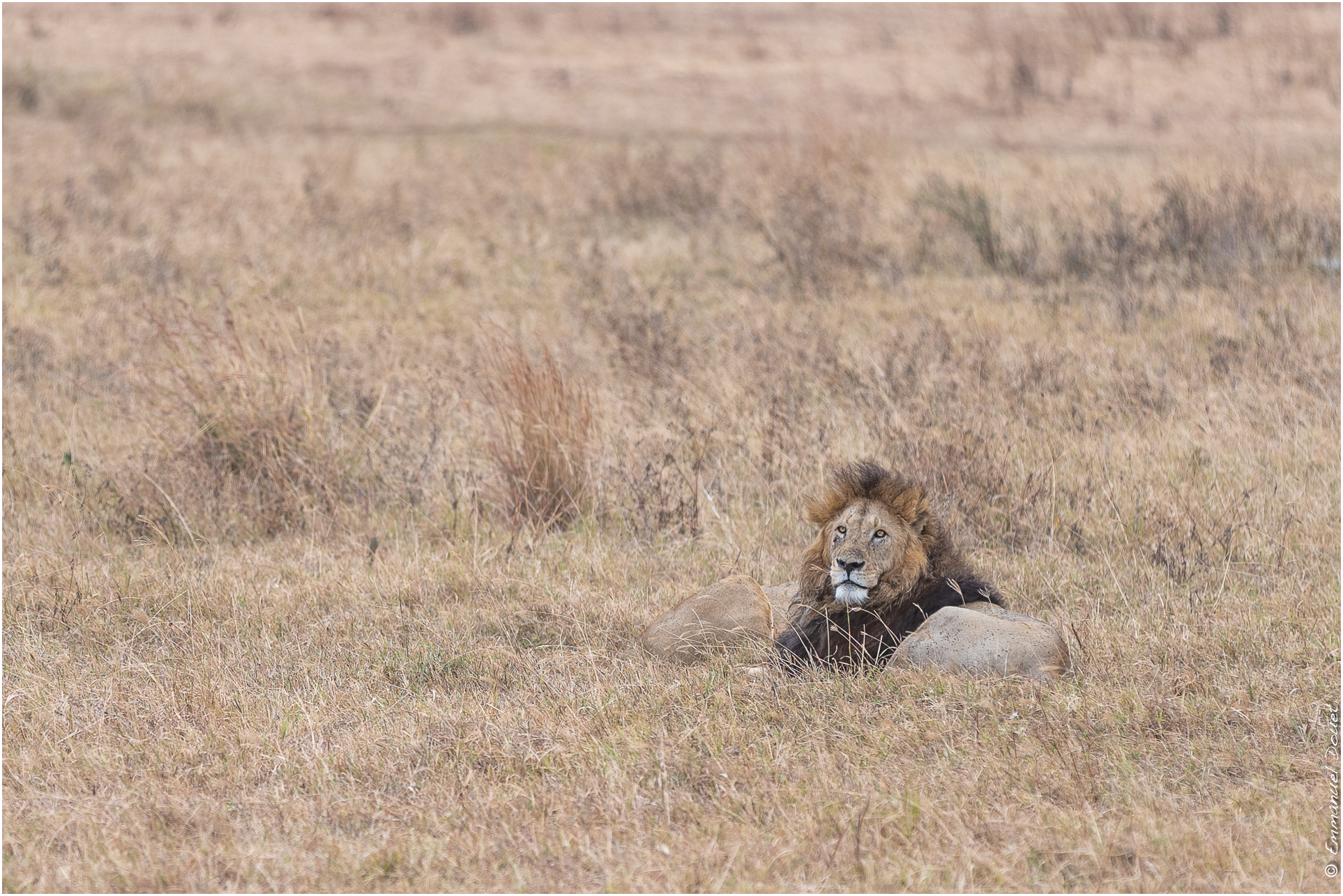 2022 07 Tanzanie 203