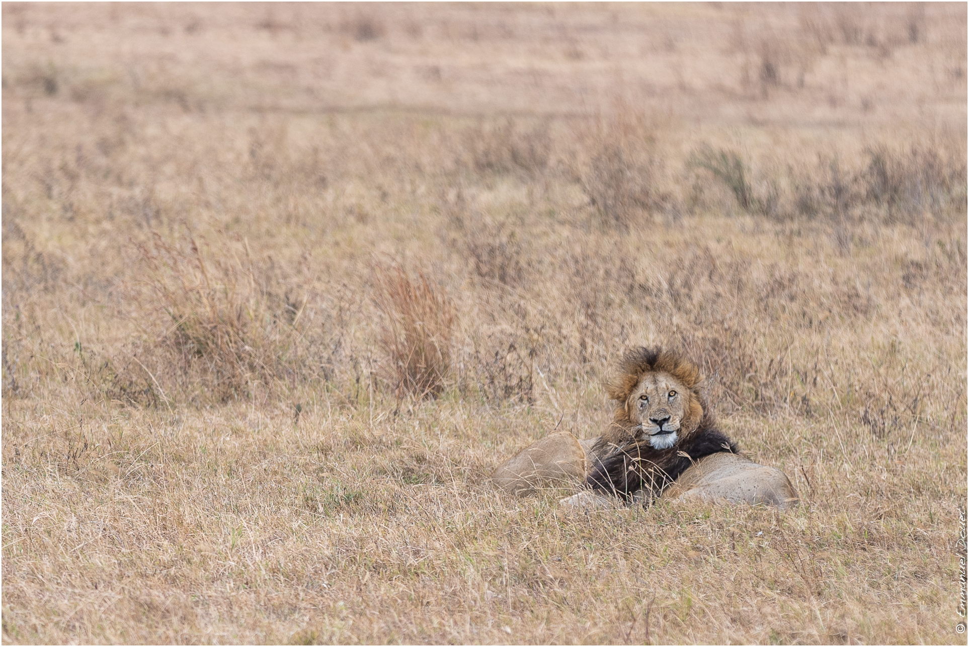 2022 07 Tanzanie 205