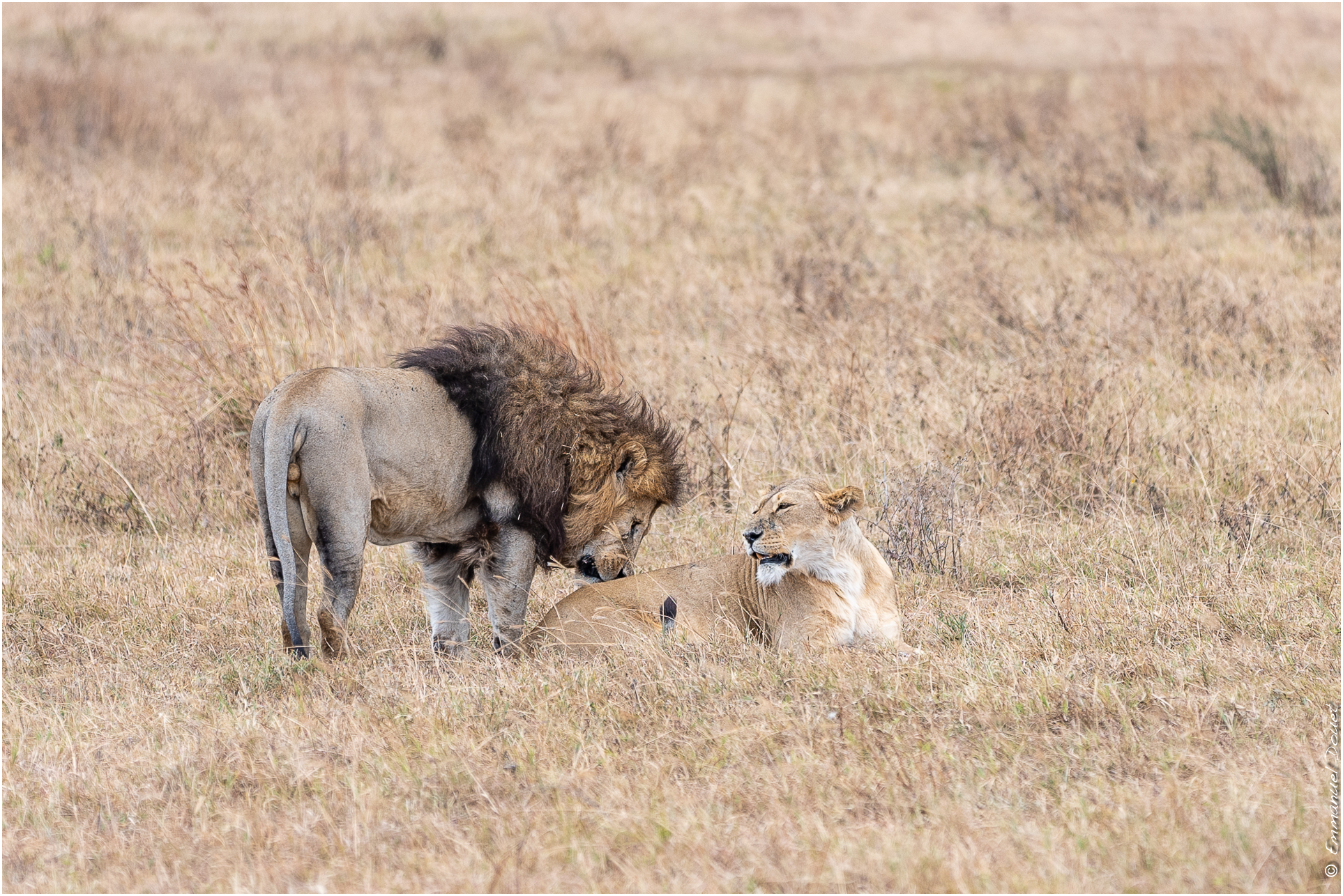 2022 07 Tanzanie 207