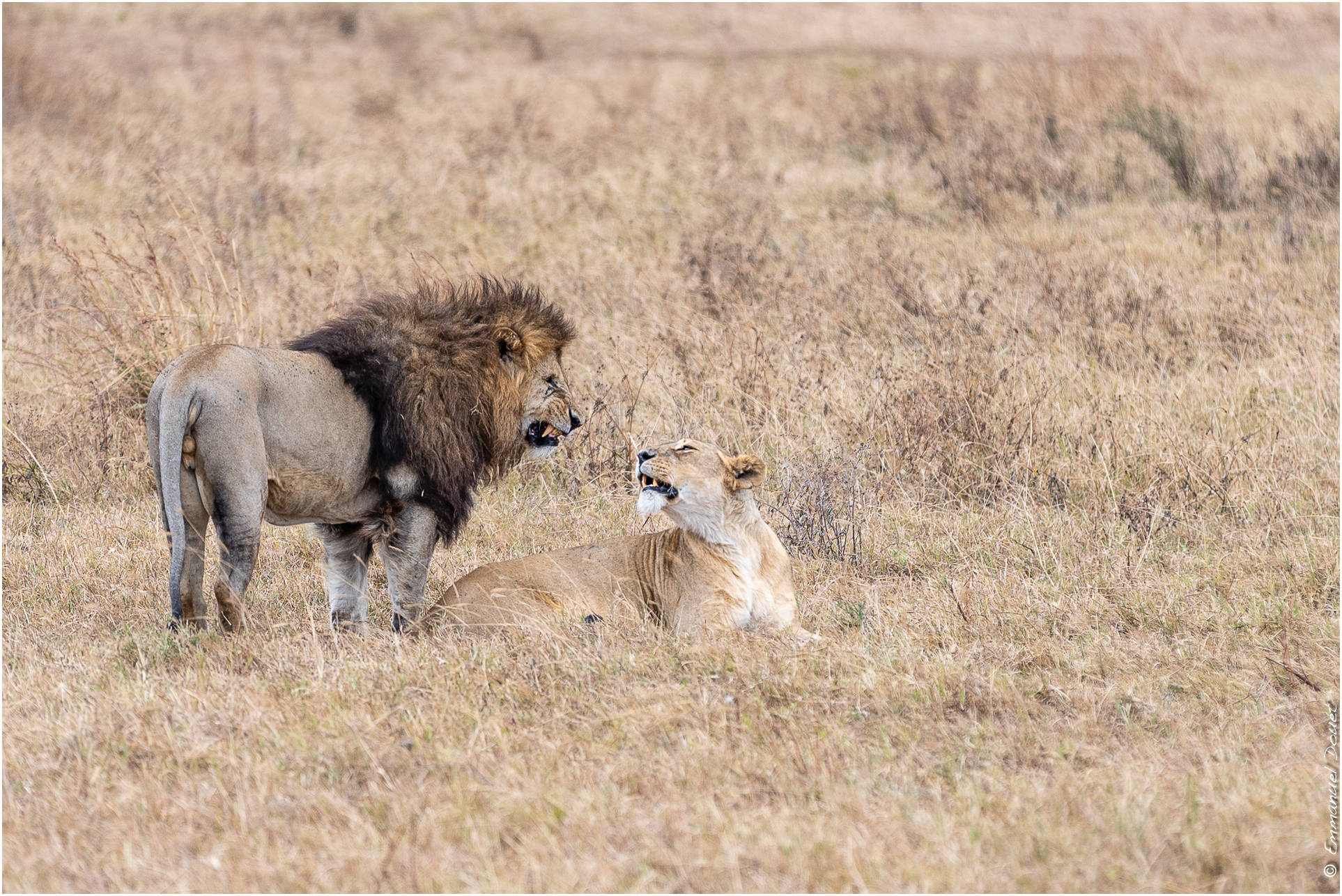 2022 07 Tanzanie 208