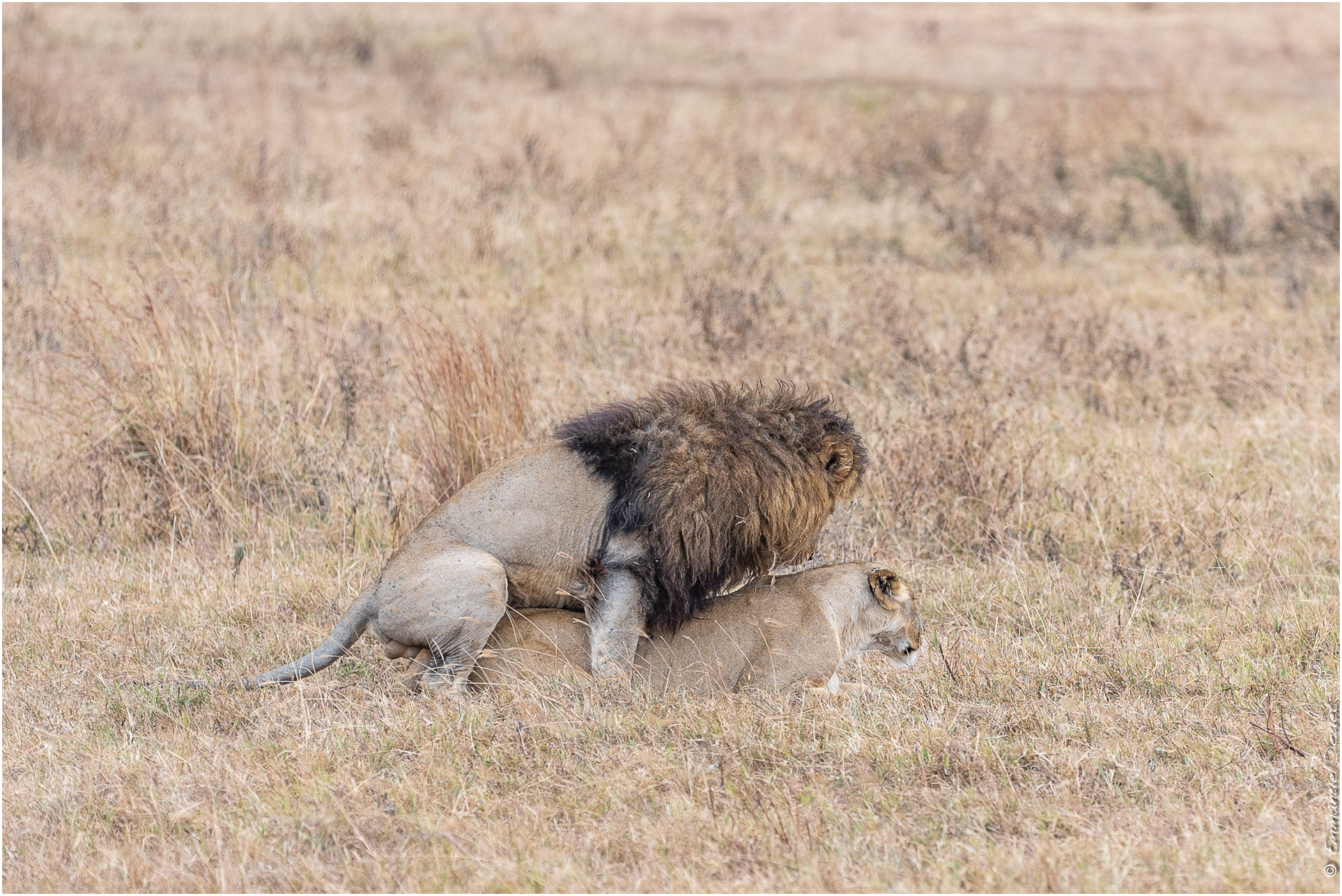 2022 07 Tanzanie 210