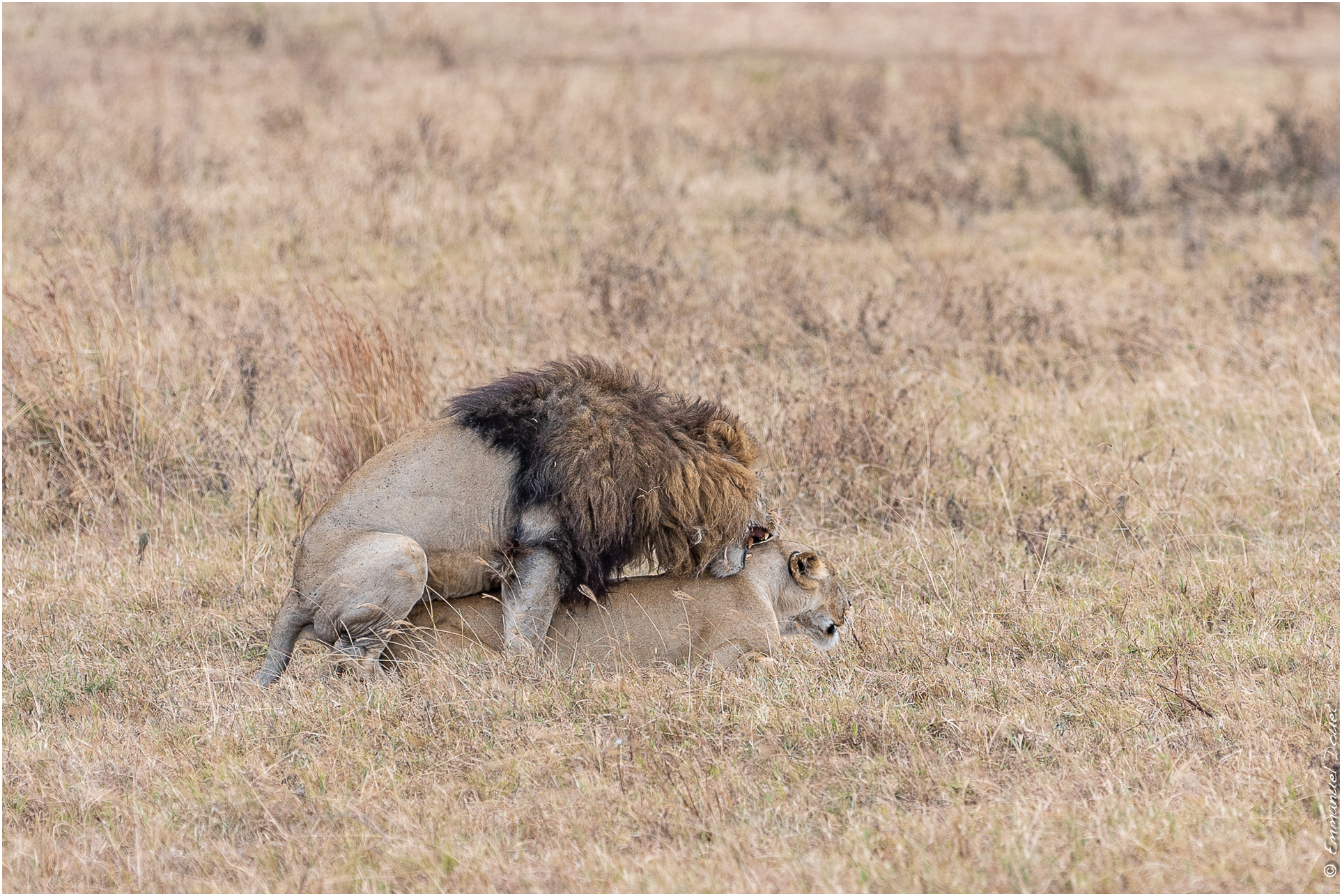 2022 07 Tanzanie 212