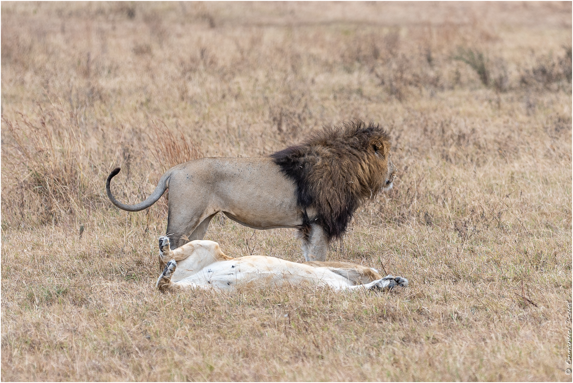 2022 07 Tanzanie 214